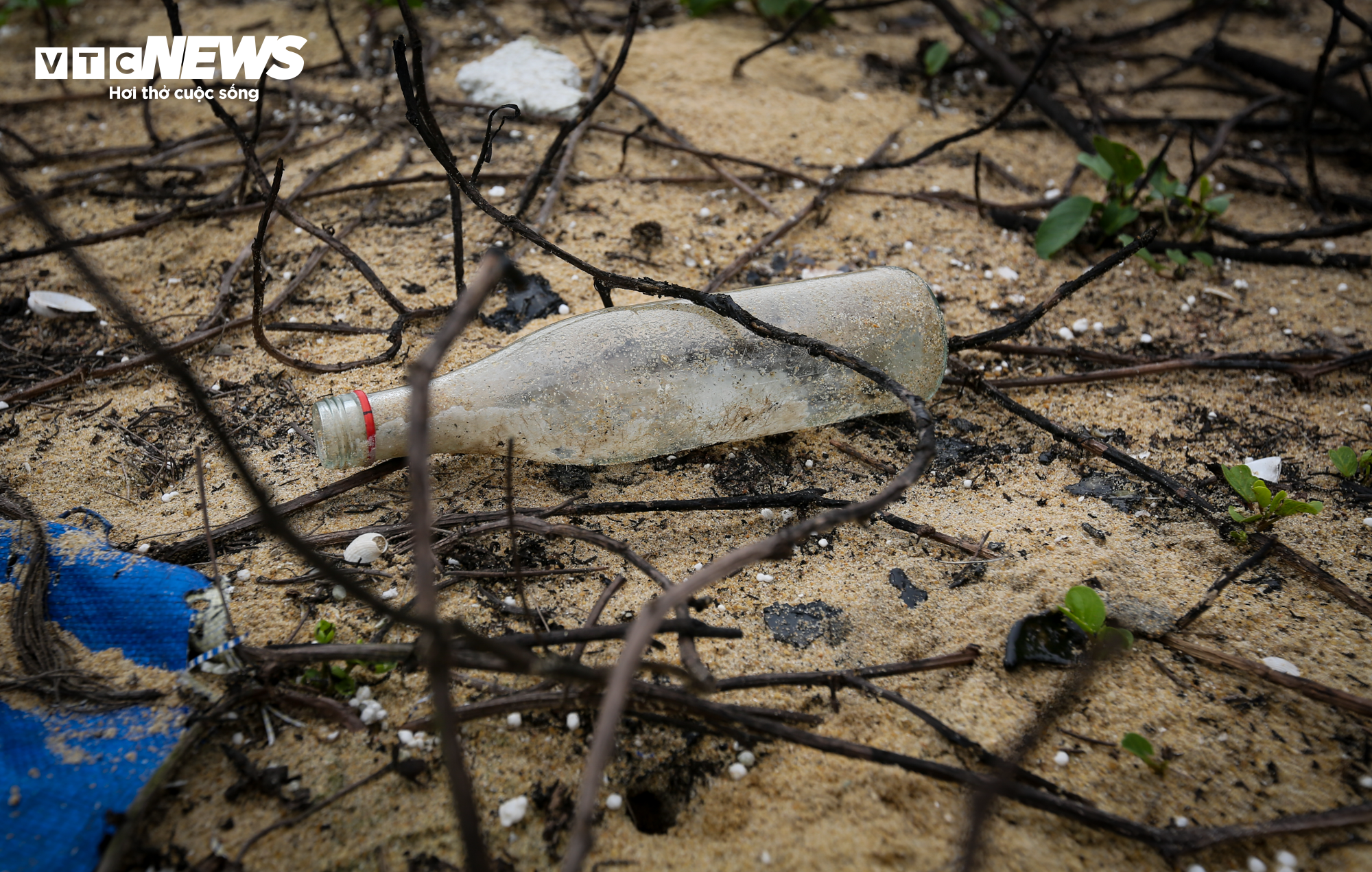 Xốp, rác thải nhựa bủa vây bãi biển đẹp nhất Hà Tĩnh trước mùa du lịch - 16