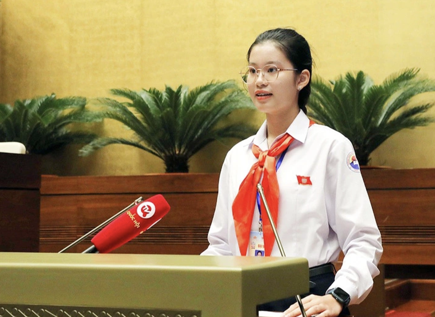 Nữ sinh lớp 9 được vinh danh Gương mặt trẻ Việt Nam tiêu biểu - 2