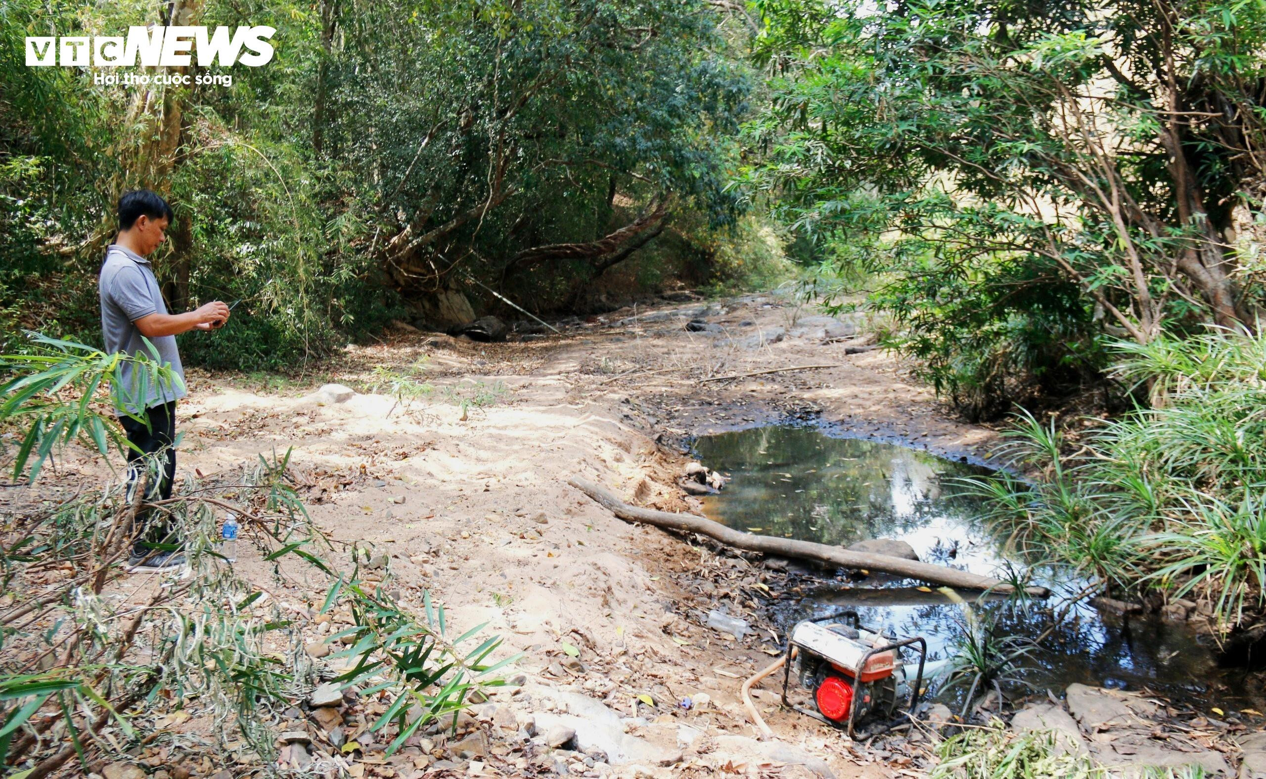 Cao điểm hạn hán tại Ninh Thuận, Bình Thuận: Hồ trơ đáy, cá chết khô - 6