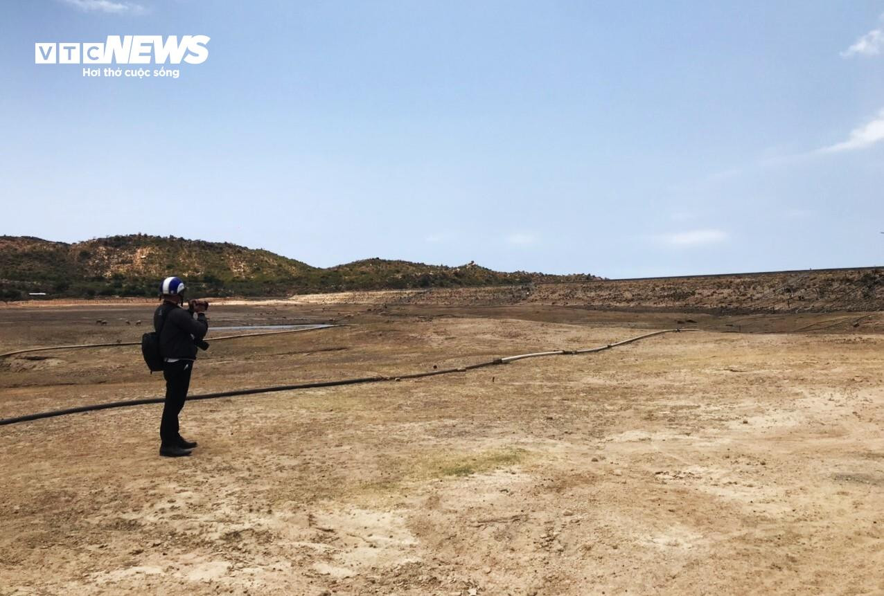 Cao điểm hạn hán tại Ninh Thuận, Bình Thuận: Hồ trơ đáy, cá chết khô - 11