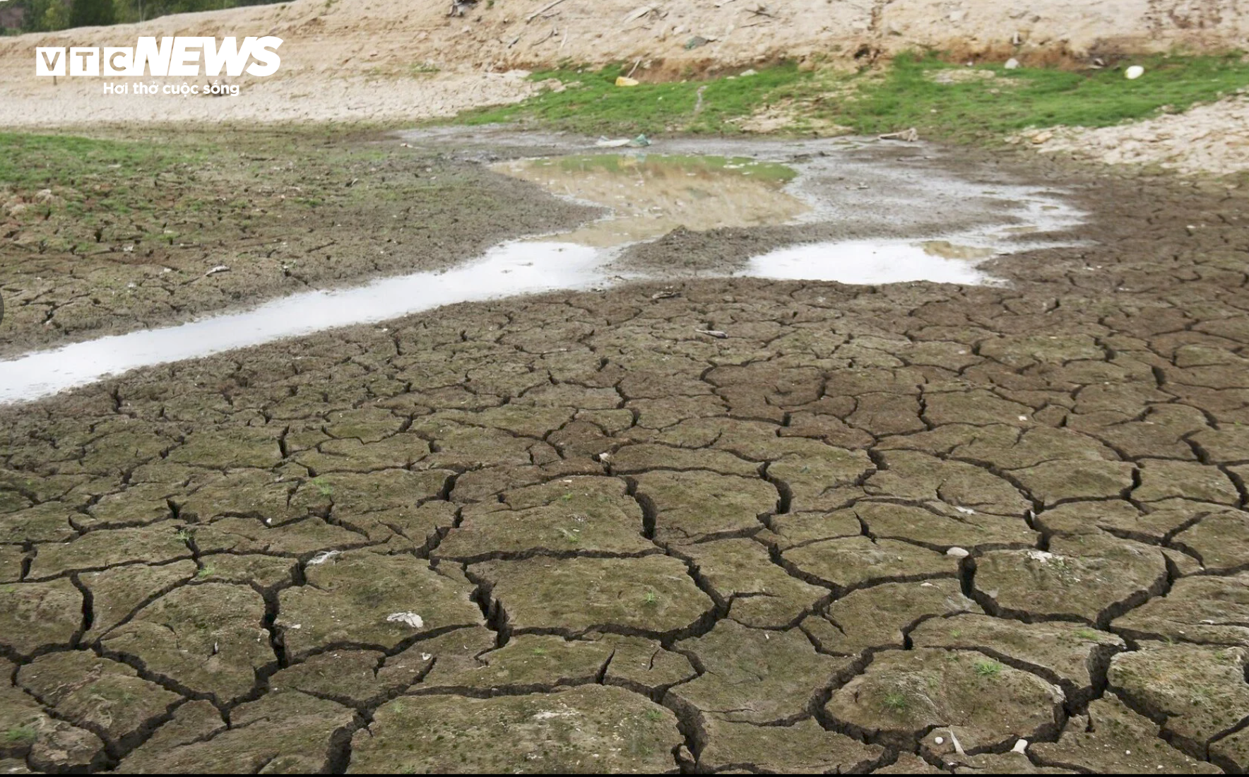 Cao điểm hạn hán tại Ninh Thuận, Bình Thuận: Hồ trơ đáy, cá chết khô - 2