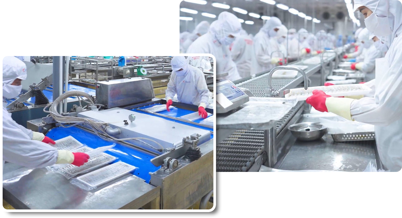 CEO 'vua tôm' Minh Phú: Thuyết phục người Việt ăn tôm sạch nhưng bất thành - 5