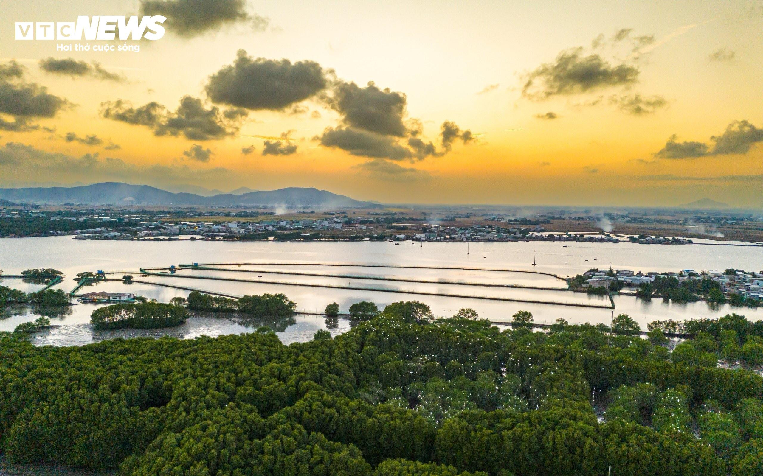 Cận cảnh dự án gần 800 tỷ đồng bị Bình Định đề xuất thu hồi - 12