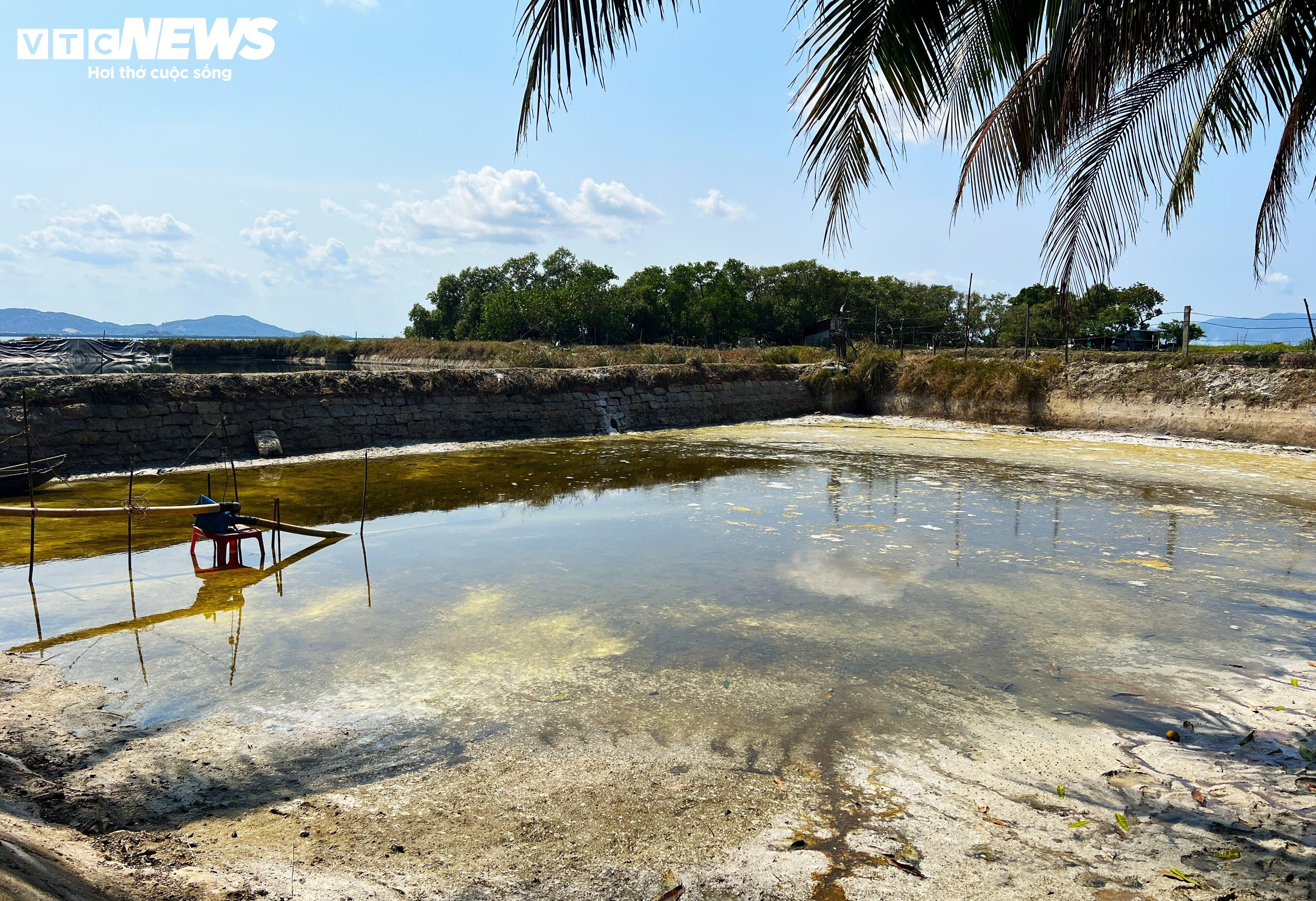 Cận cảnh dự án gần 800 tỷ đồng bị Bình Định đề xuất thu hồi - 4