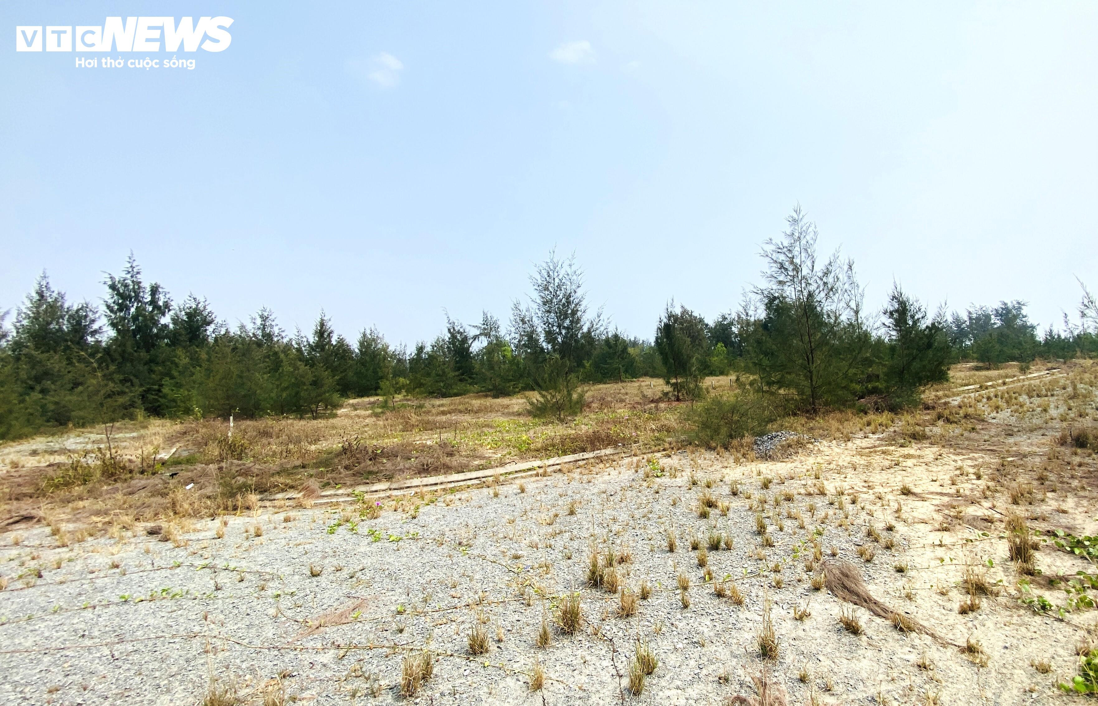 Dự án gần 200 tỷ đồng 'treo' 8 năm, nguy cơ bị 'xóa sổ' ở Quảng Nam - 1