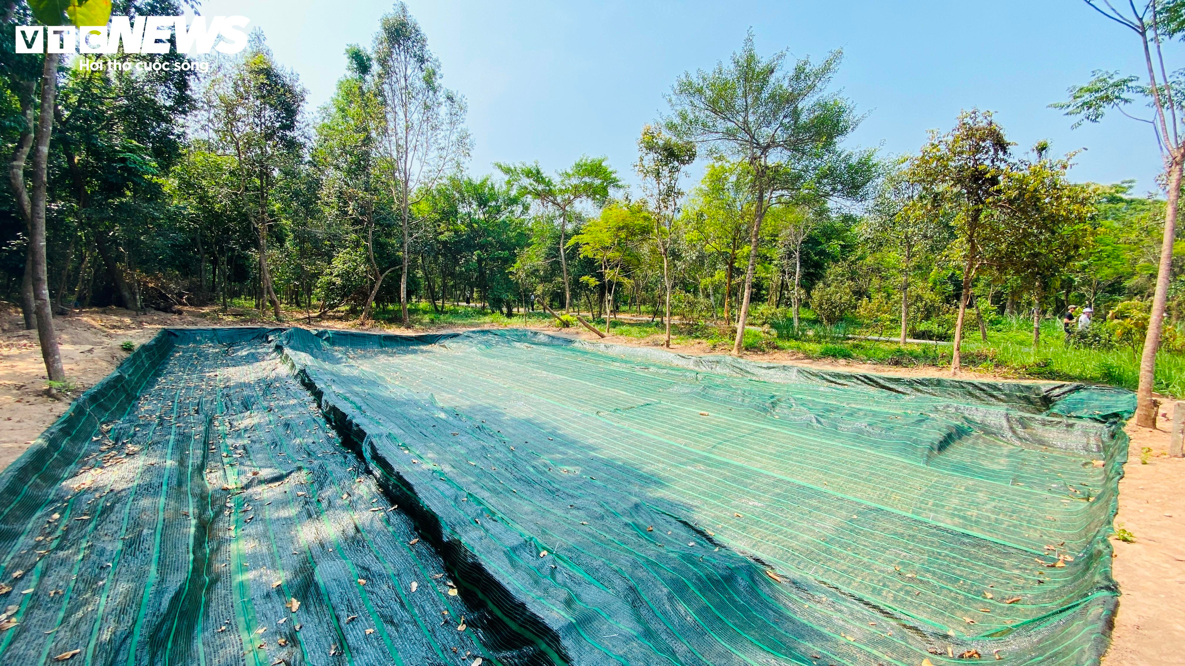 Cận cảnh con đường cổ nghìn năm vừa phát lộ ở Thánh địa Mỹ Sơn - 9