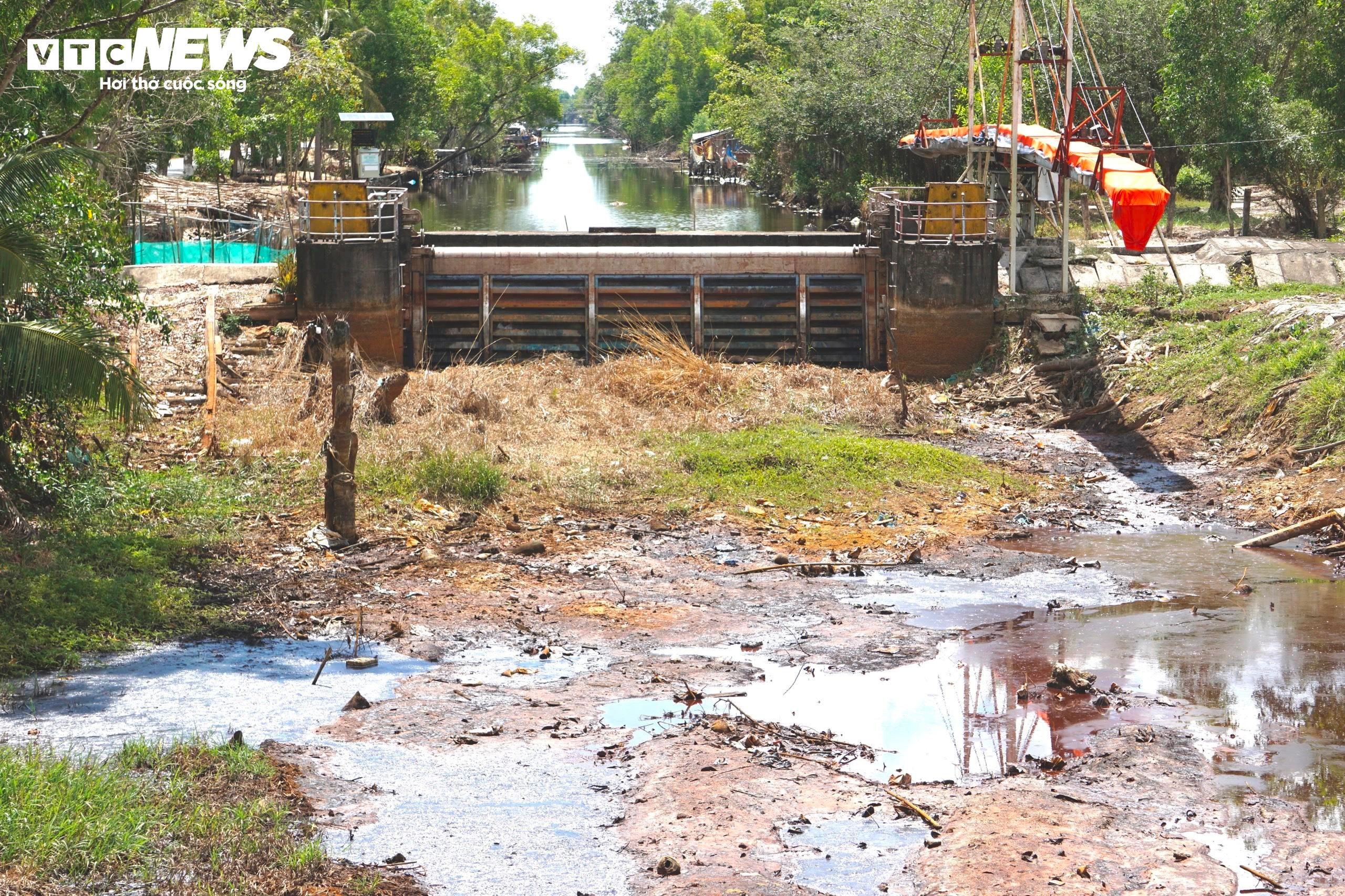 Kênh, rạch cạn khô, đường nứt toác giữa tâm vùng hạn mặn Cà Mau - 16