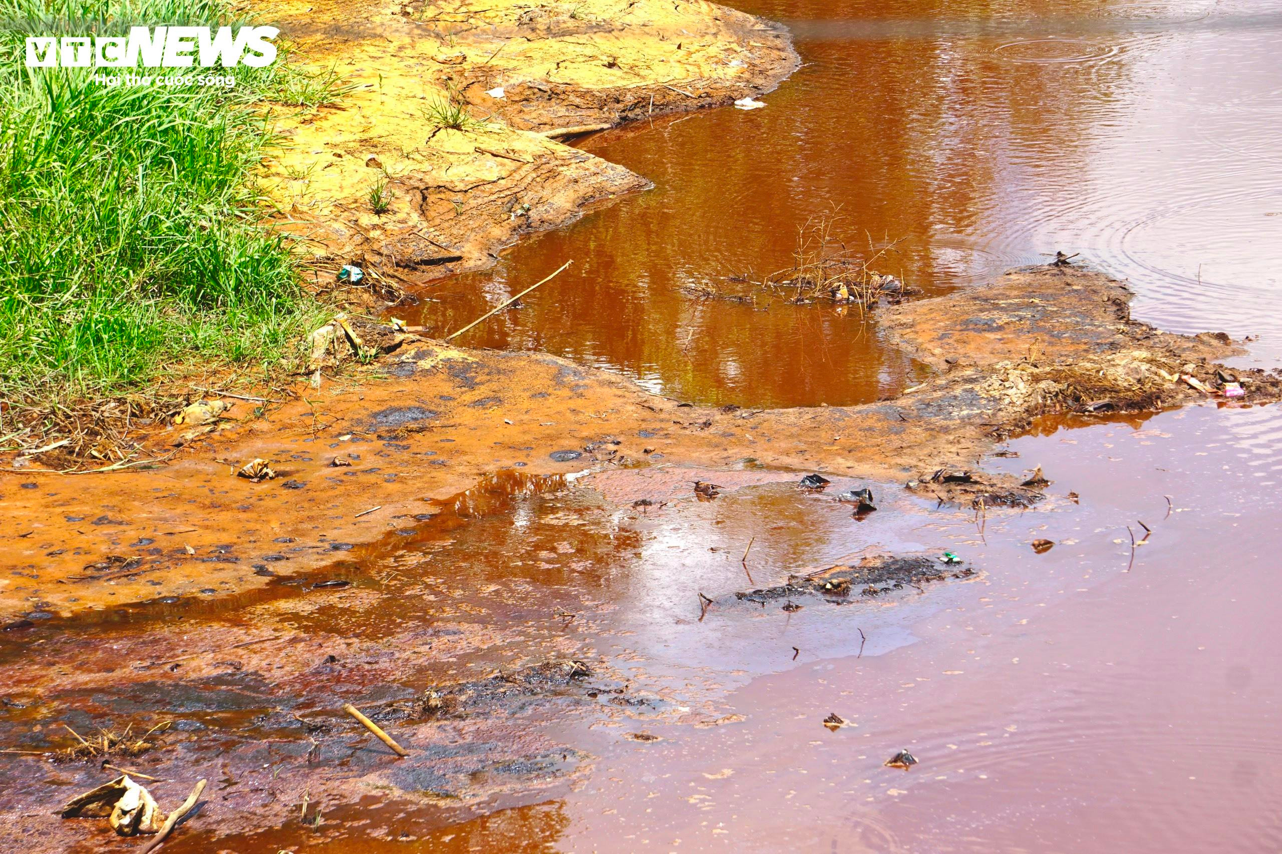 Kênh, rạch cạn khô, đường nứt toác giữa tâm vùng hạn mặn Cà Mau - 17