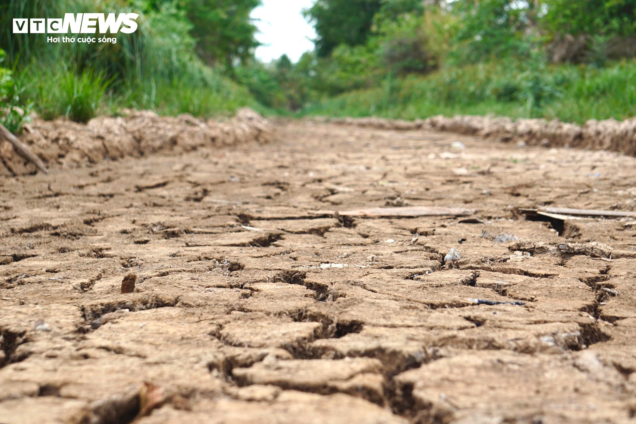 Kênh, rạch cạn khô, đường nứt toác giữa tâm vùng hạn mặn Cà Mau - 4