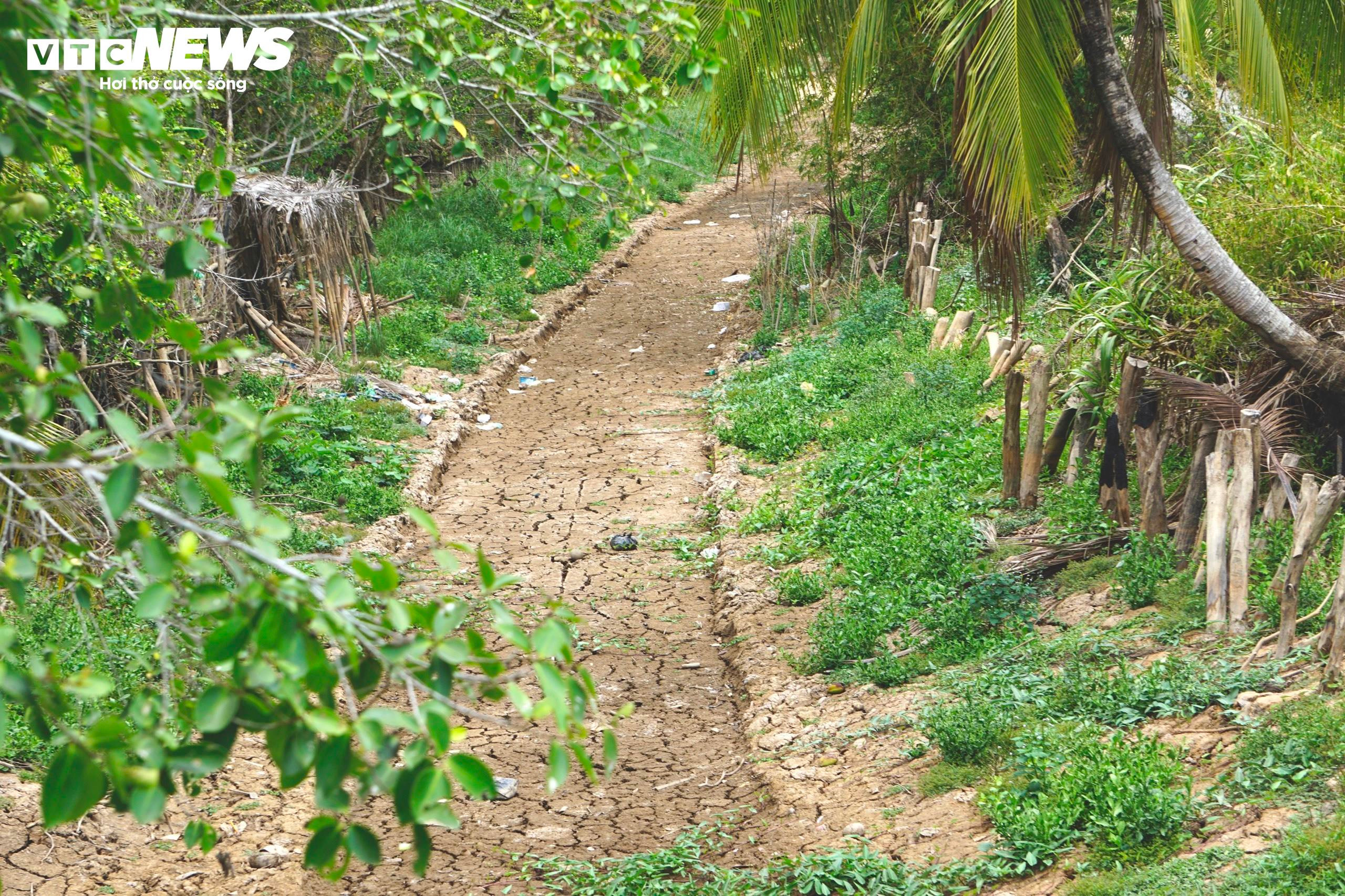 Kênh, rạch cạn khô, đường nứt toác giữa tâm vùng hạn mặn Cà Mau - 3