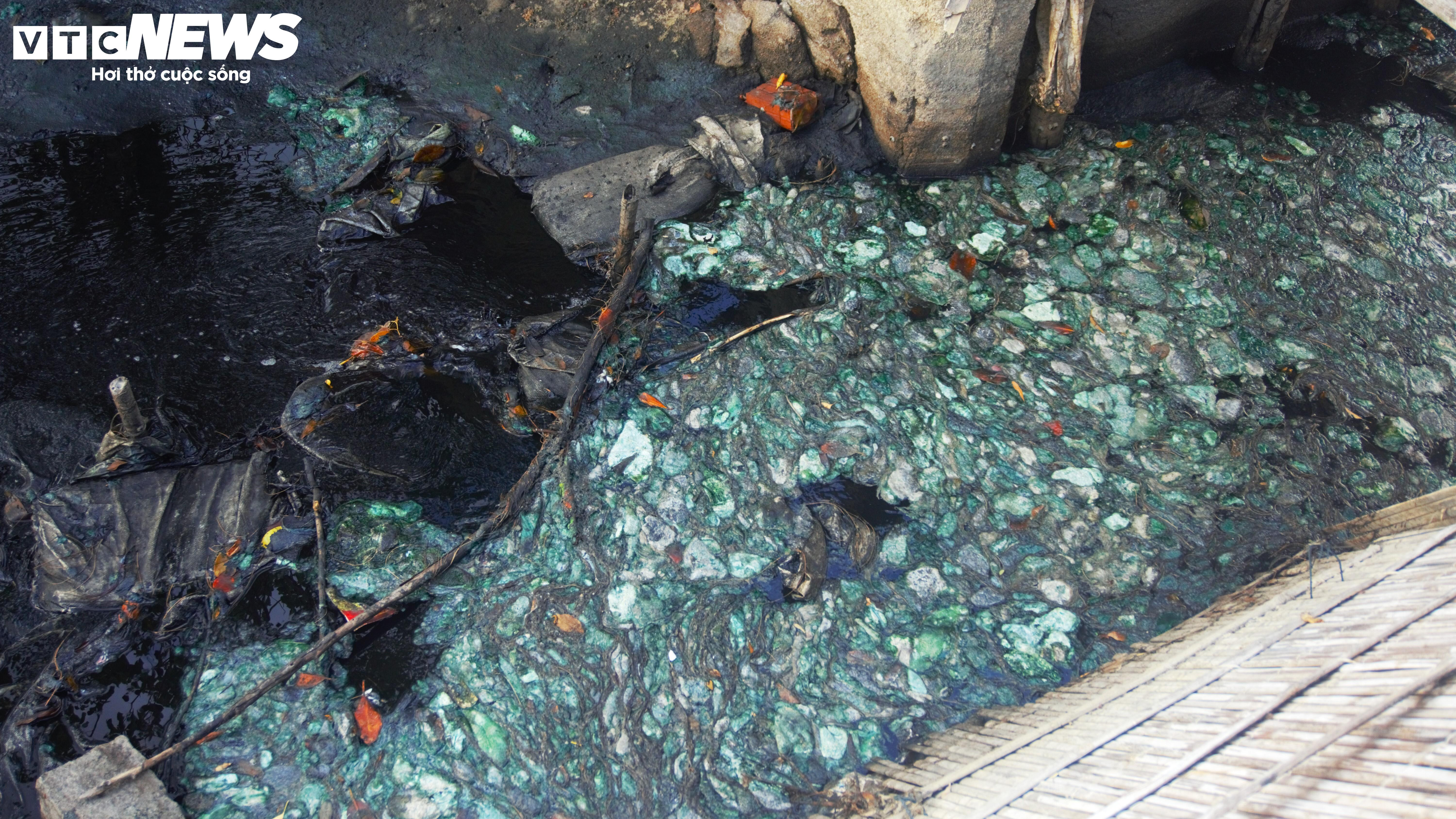 Bình Định: Sơ chế mực xà 'nhuộm đen' dòng nước, dân vật vã ngửi mùi thum thủm - 10