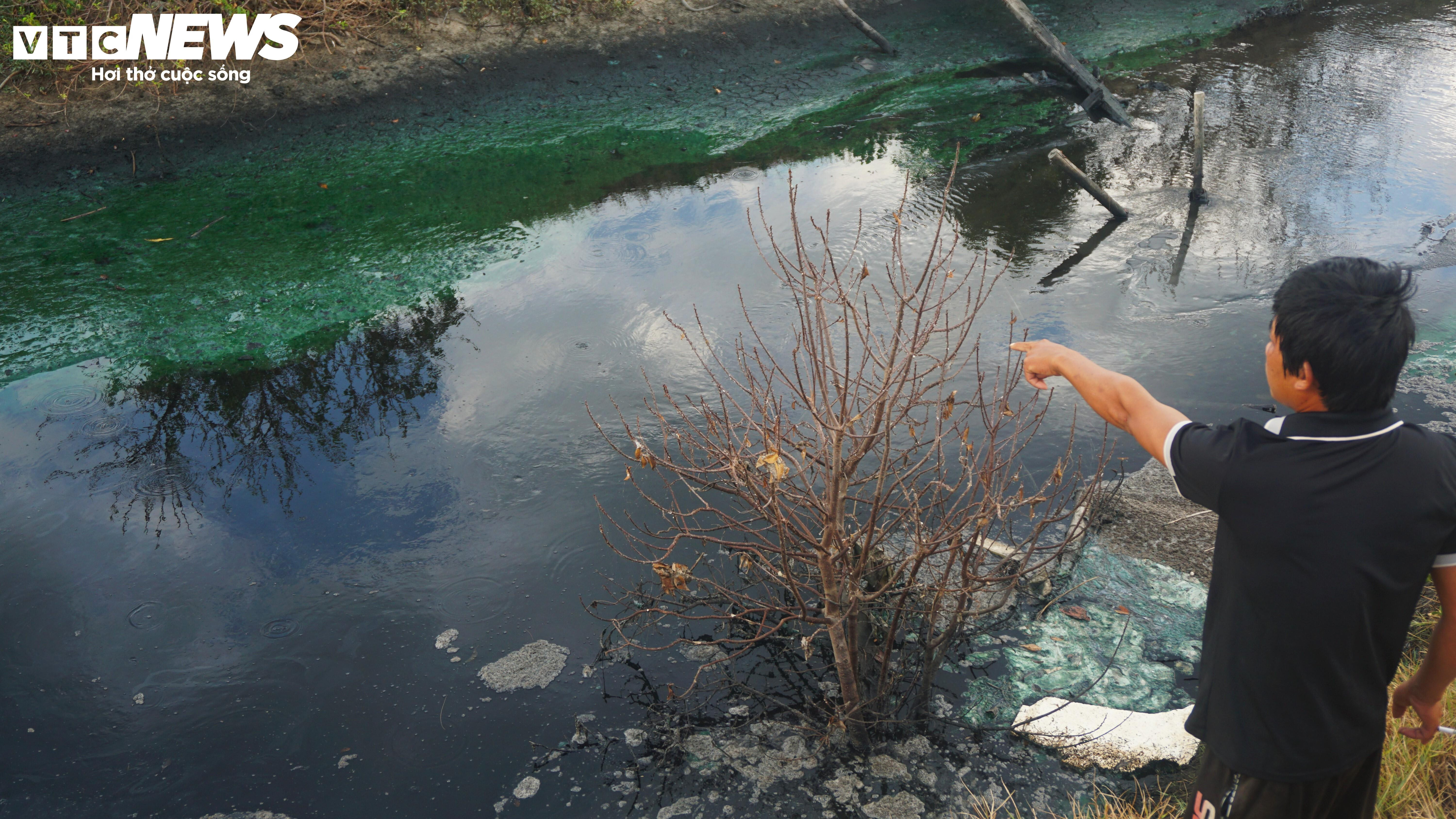Bình Định: Sơ chế mực xà 'nhuộm đen' dòng nước, dân vật vã ngửi mùi thum thủm - 12