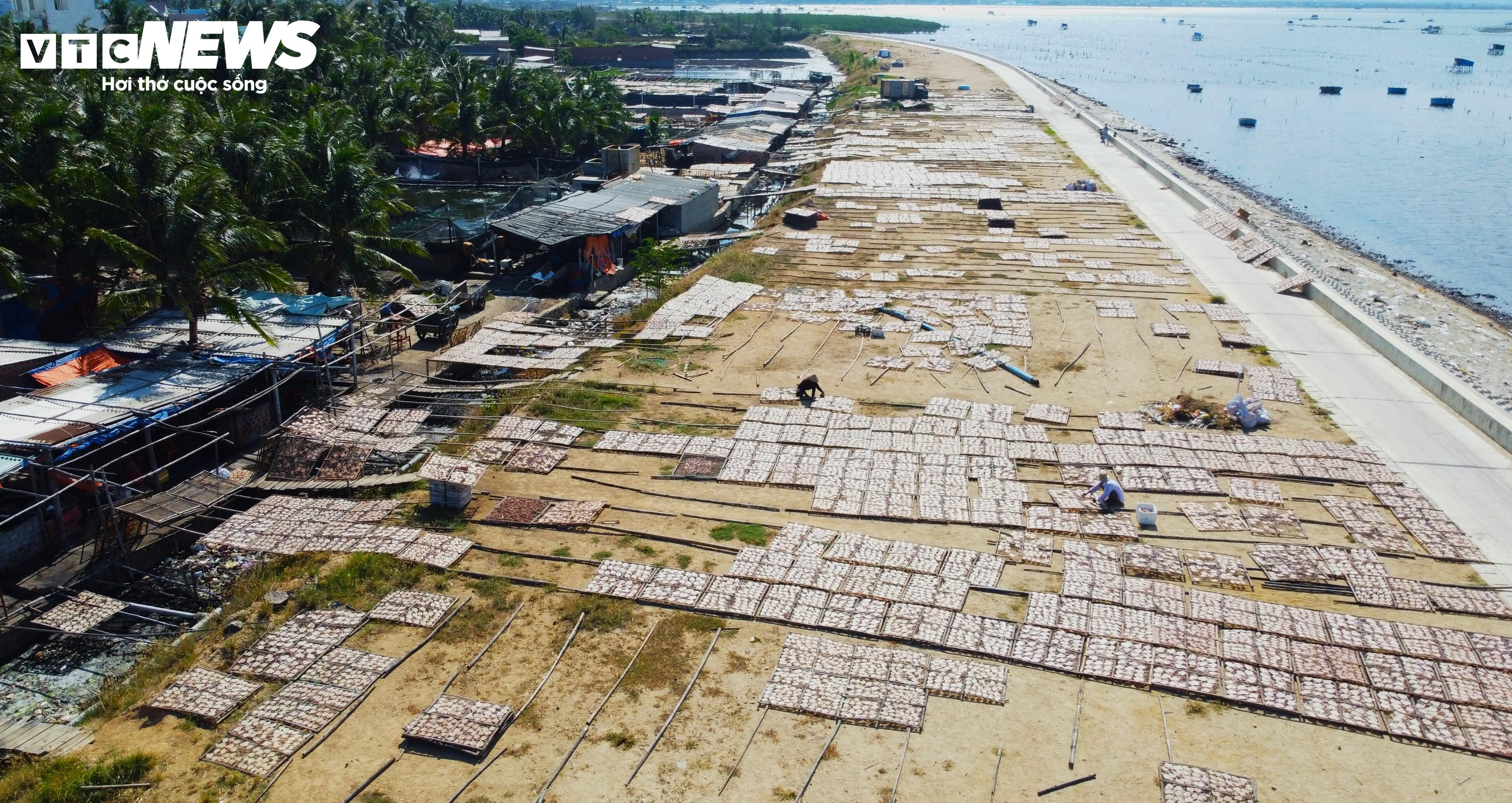 Bình Định: Sơ chế mực xà 'nhuộm đen' dòng nước, dân vật vã ngửi mùi thum thủm - 14