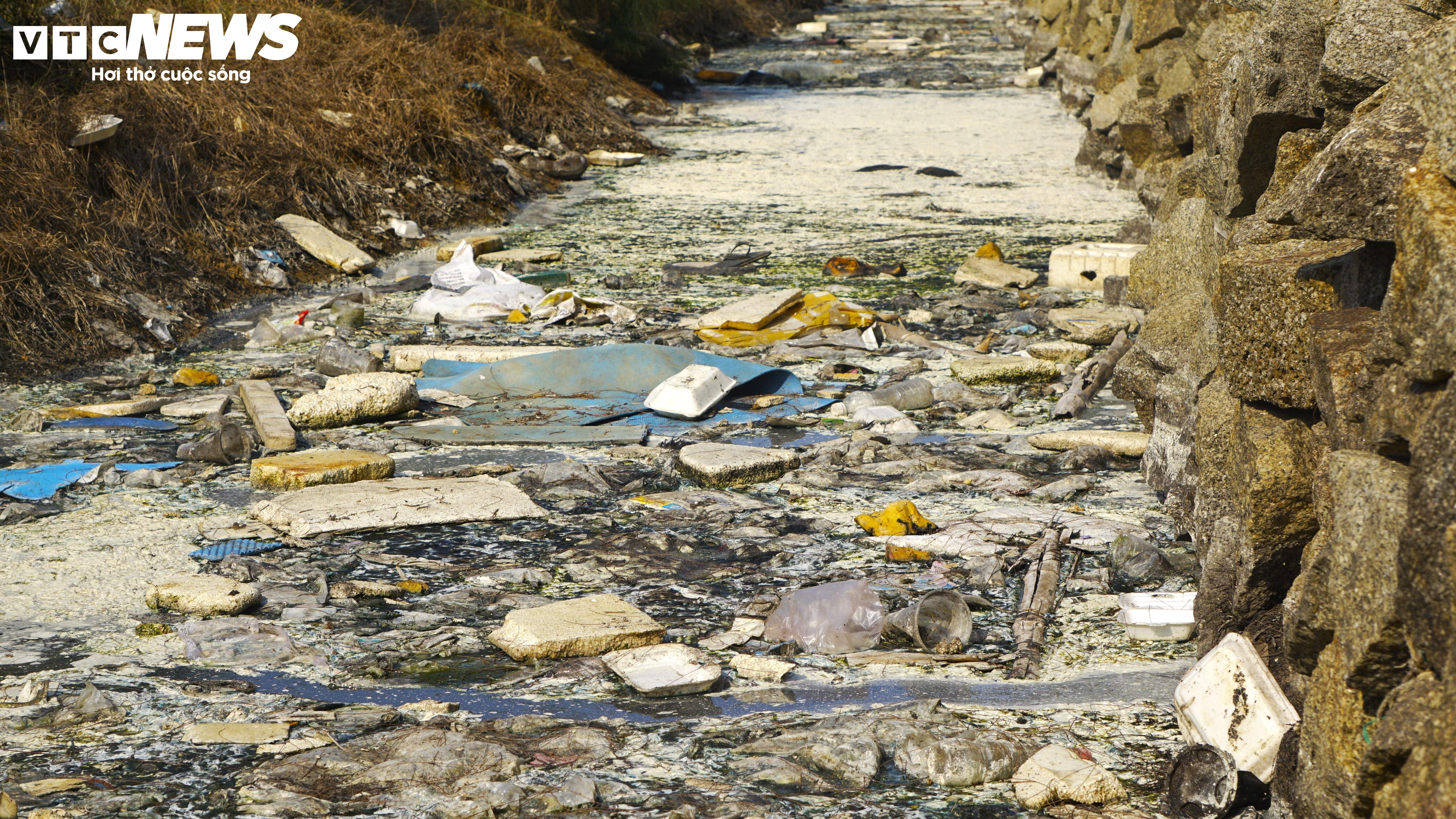 Bình Định: Sơ chế mực xà 'nhuộm đen' dòng nước, dân vật vã ngửi mùi thum thủm - 8