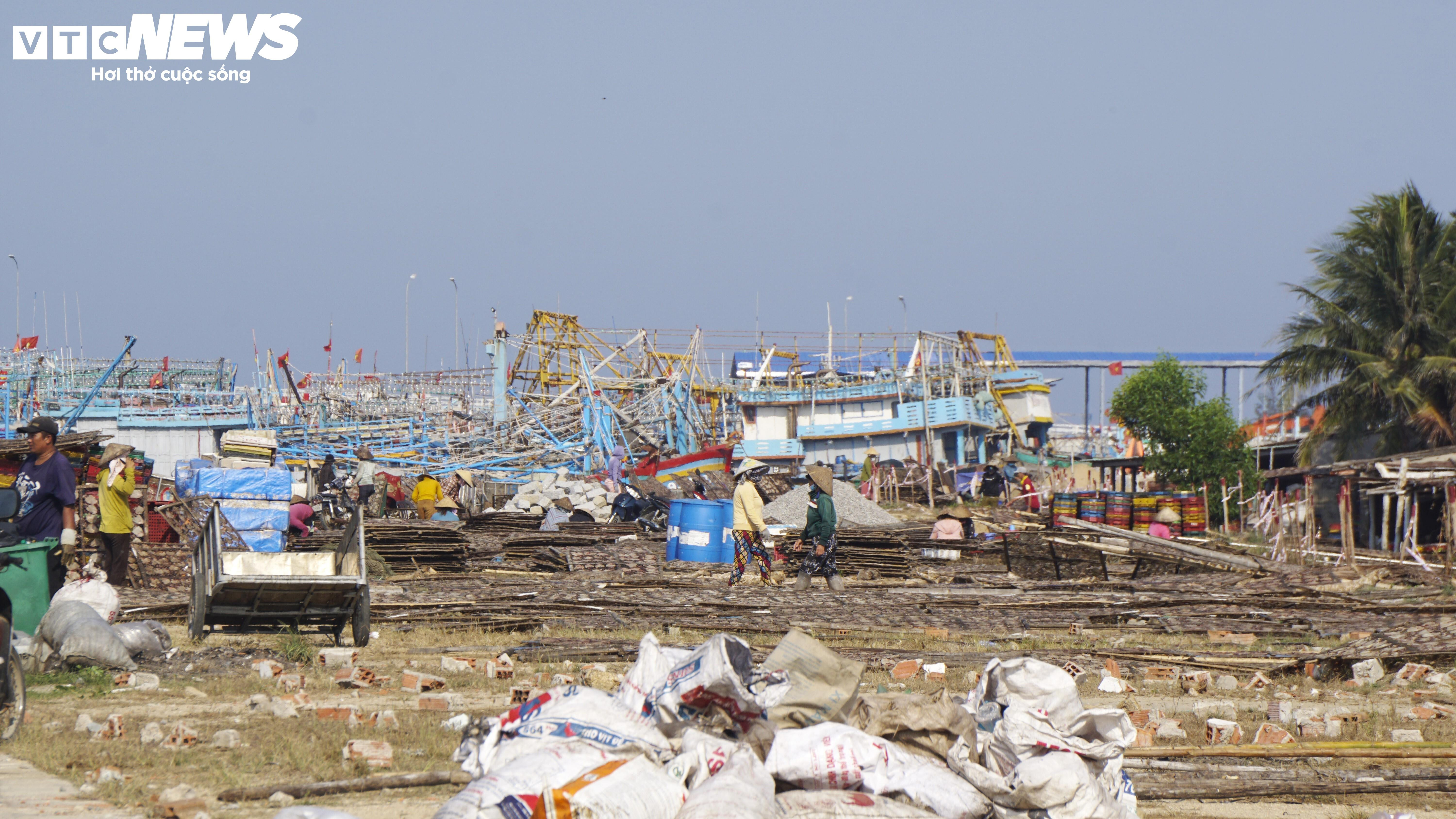 Bình Định: Sơ chế mực xà 'nhuộm đen' dòng nước, dân vật vã ngửi mùi thum thủm - 1