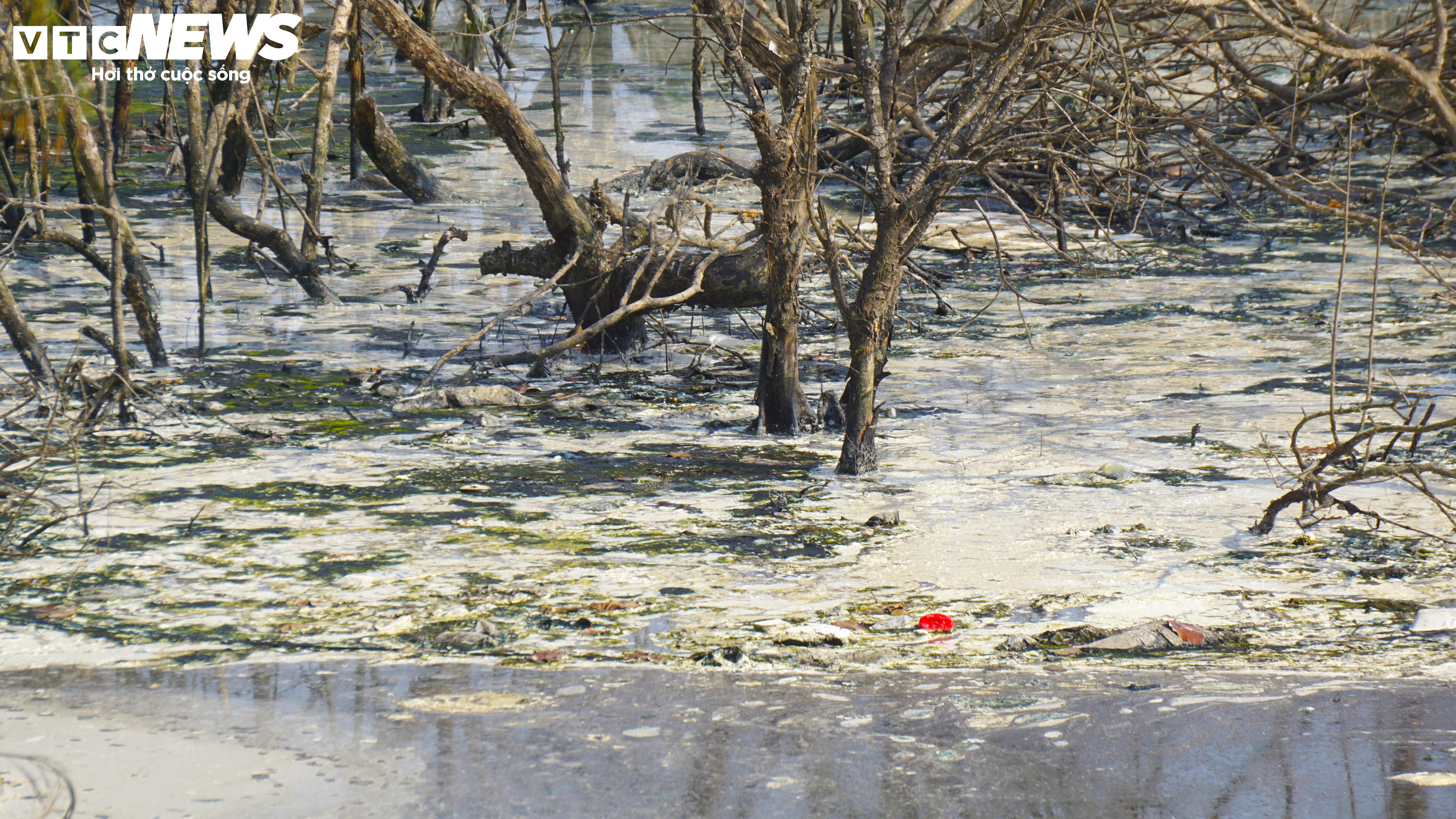 Bình Định: Sơ chế mực xà 'nhuộm đen' dòng nước, dân vật vã ngửi mùi thum thủm - 6