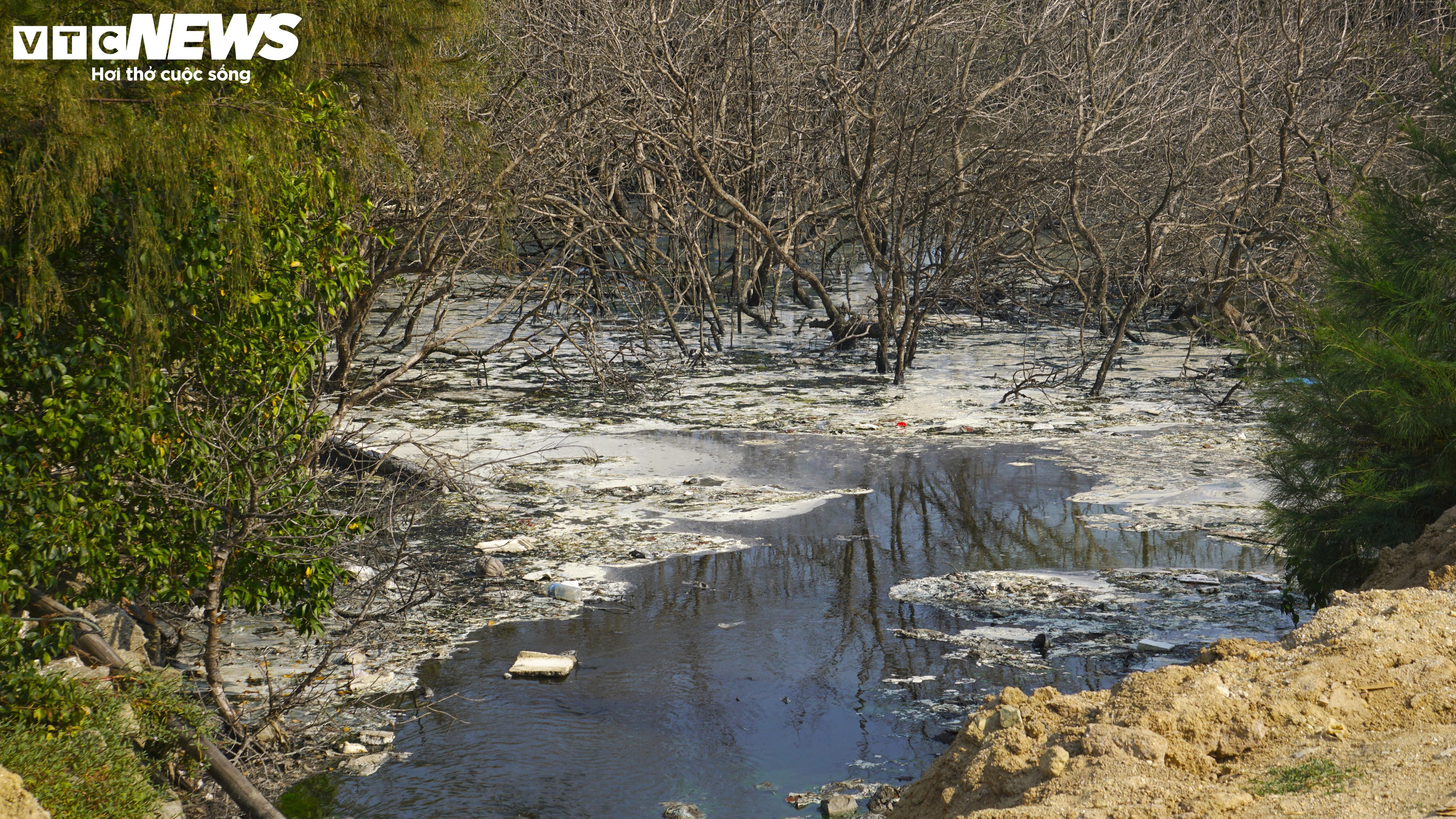 Bình Định: Sơ chế mực xà 'nhuộm đen' dòng nước, dân vật vã ngửi mùi thum thủm - 9