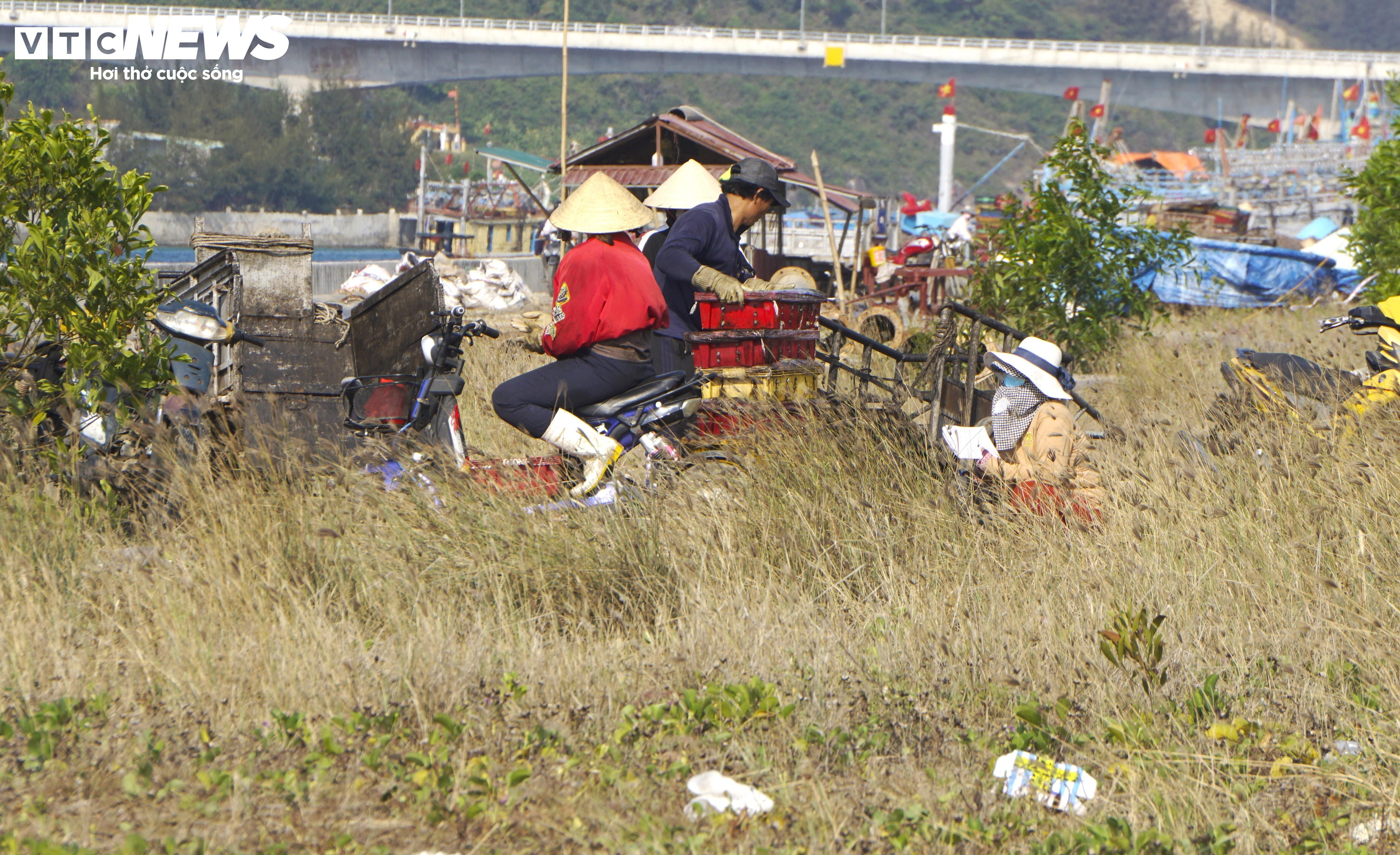 Bình Định: Sơ chế mực xà 'nhuộm đen' dòng nước, dân vật vã ngửi mùi thum thủm - 2