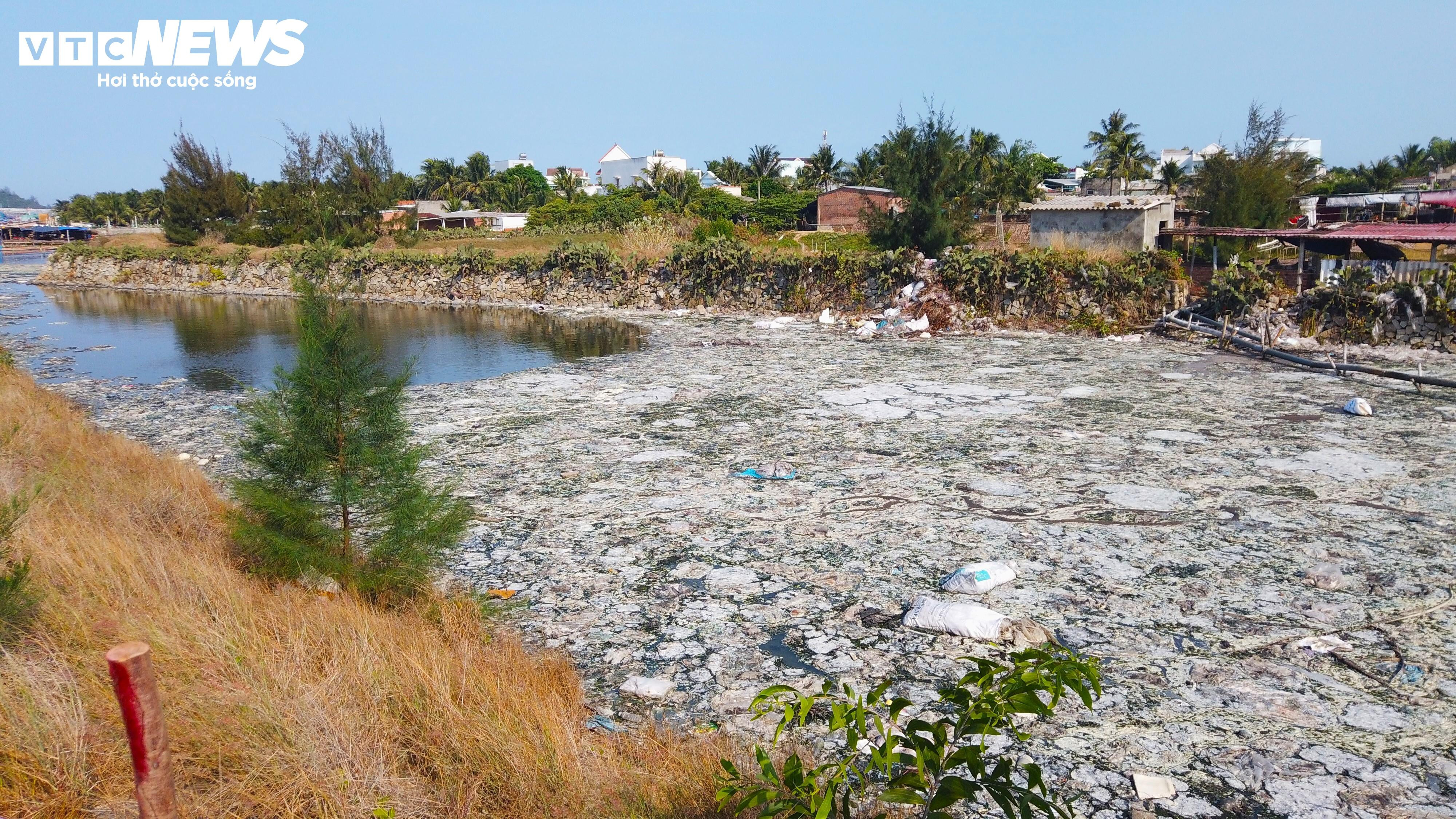 Bình Định: Sơ chế mực xà 'nhuộm đen' dòng nước, dân vật vã ngửi mùi thum thủm - 5