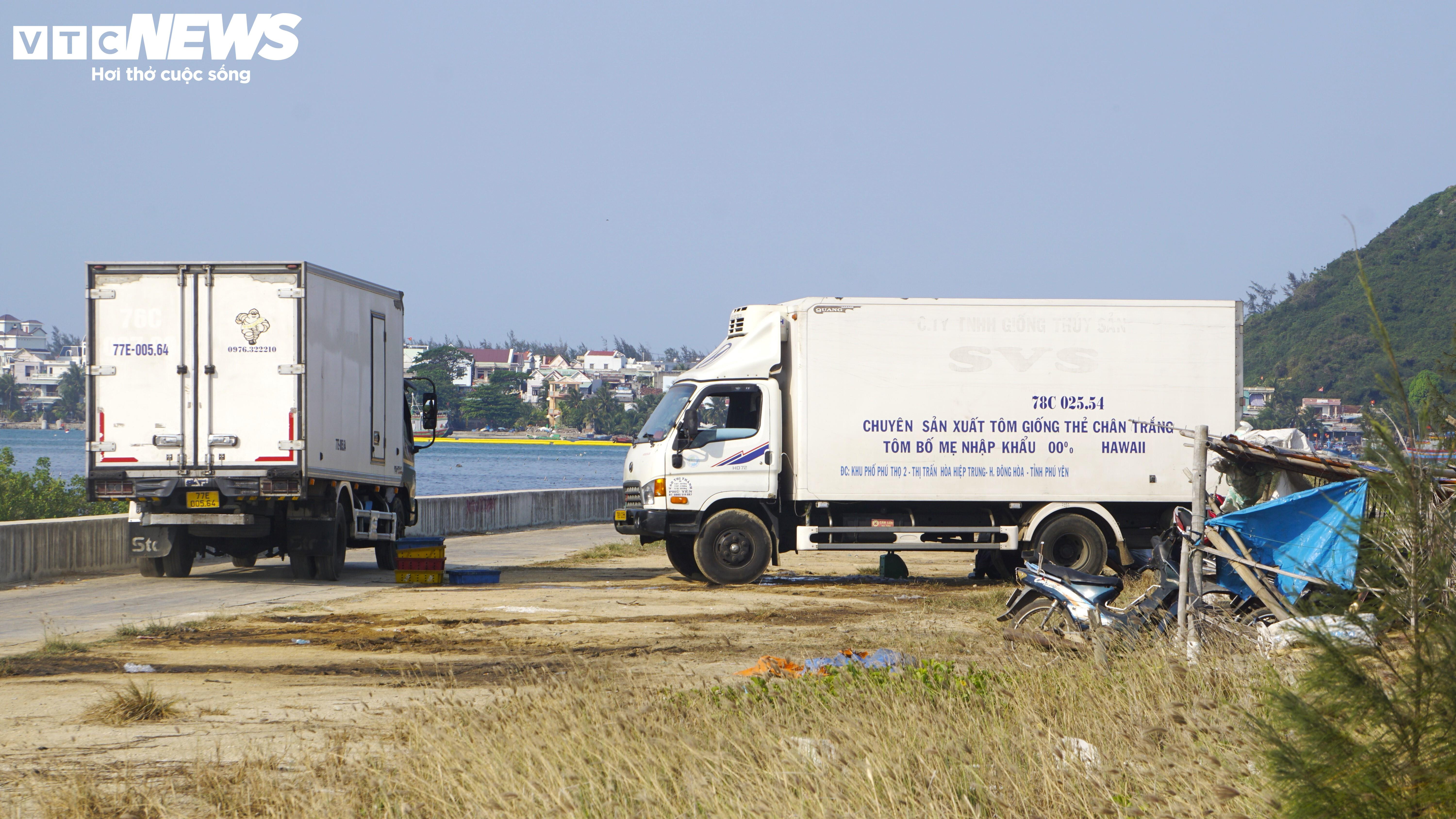 Bình Định: Sơ chế mực xà 'nhuộm đen' dòng nước, dân vật vã ngửi mùi thum thủm - 3