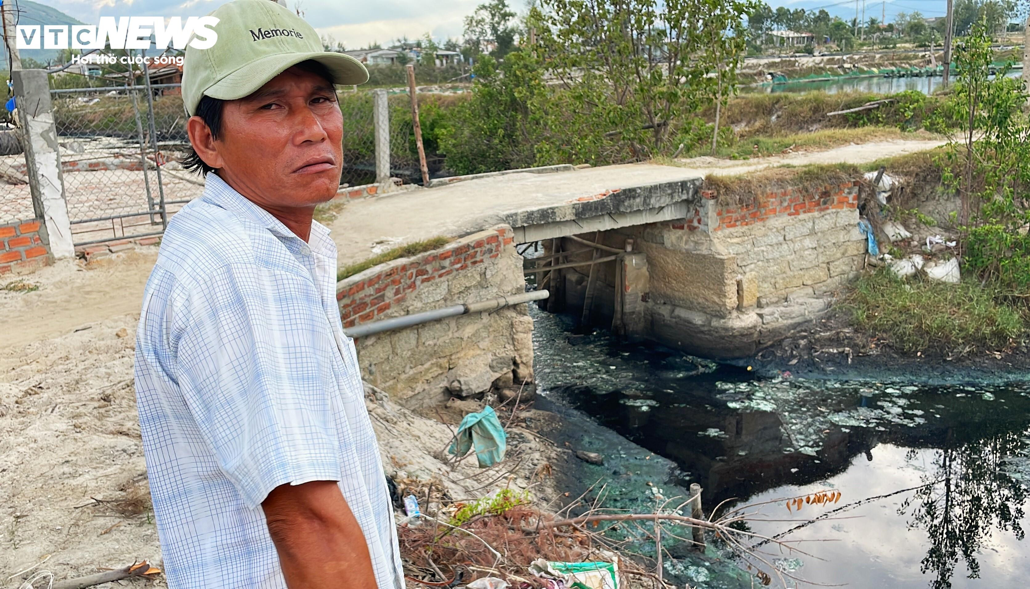 Bình Định: Sơ chế mực xà 'nhuộm đen' dòng nước, dân vật vã ngửi mùi thum thủm - 11