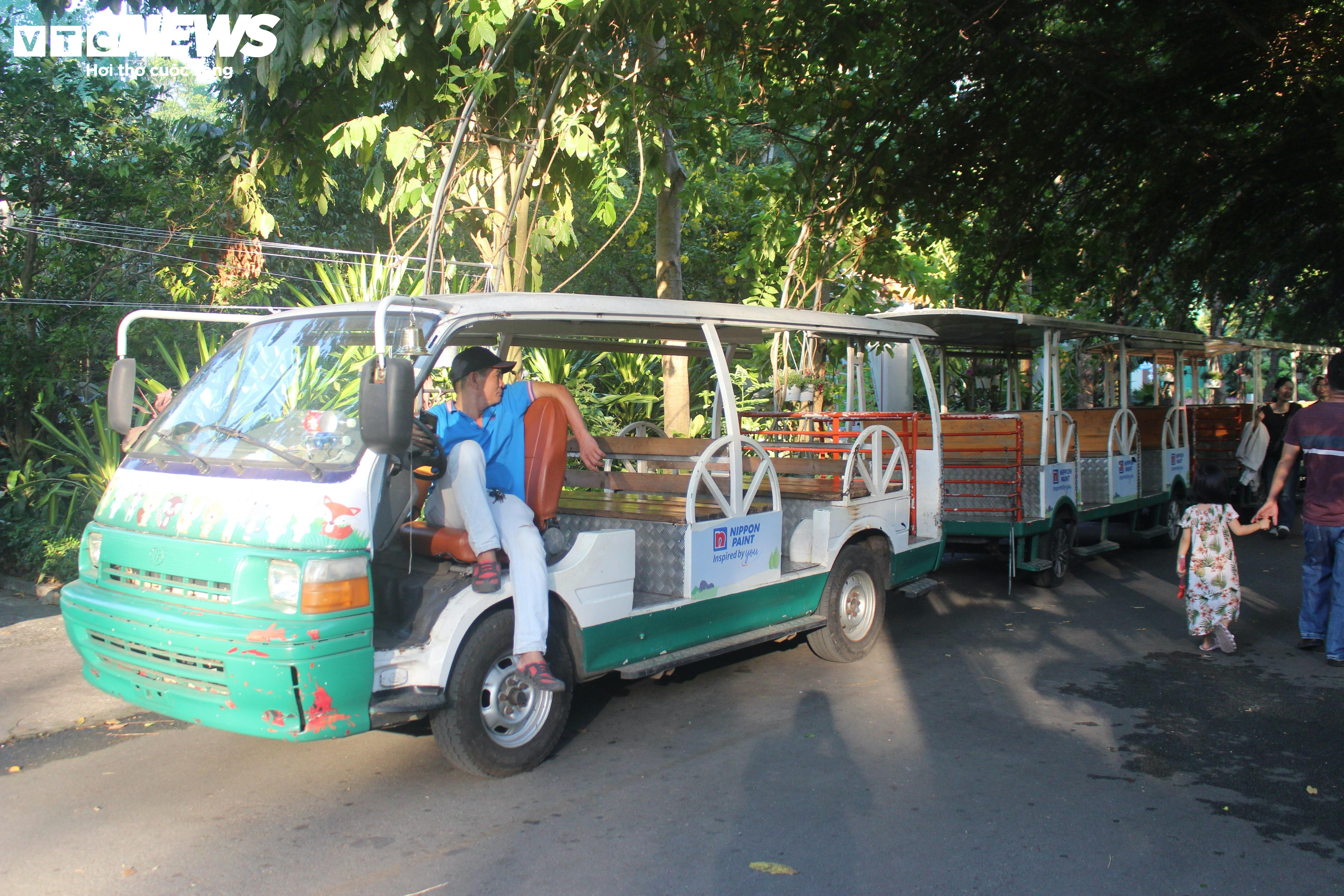 Nắng nóng gay gắt, Thảo Cầm Viên vắng khách dịp nghỉ lễ - 3