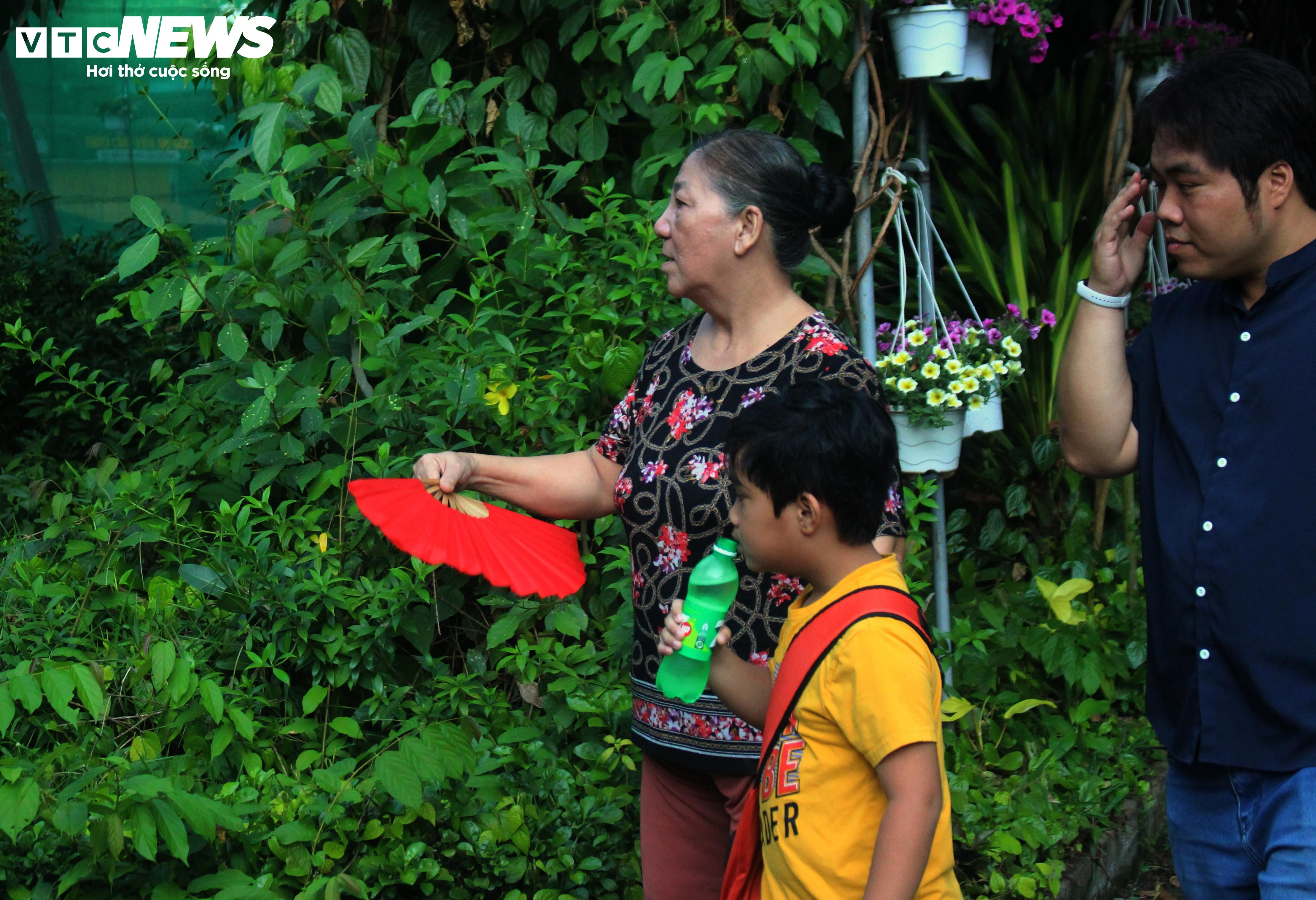 Nắng nóng gay gắt, Thảo Cầm Viên vắng khách dịp nghỉ lễ - 4