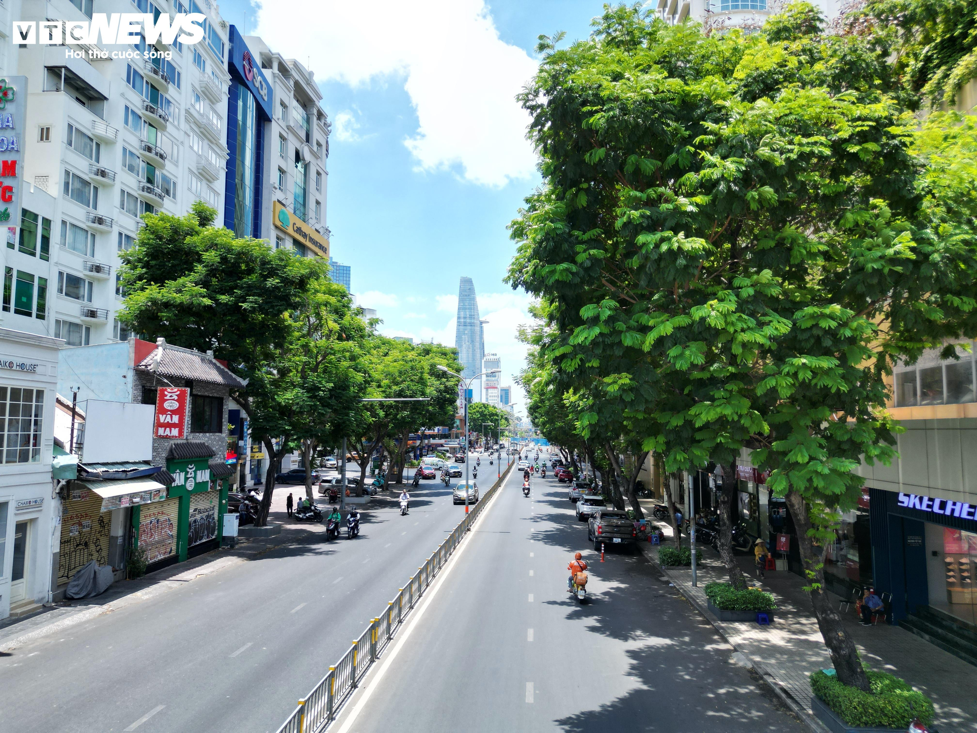 Cận cảnh hơn 400 cây xanh sắp bị đốn hạ làm tuyến Metro số 2 ở TP.HCM - 1