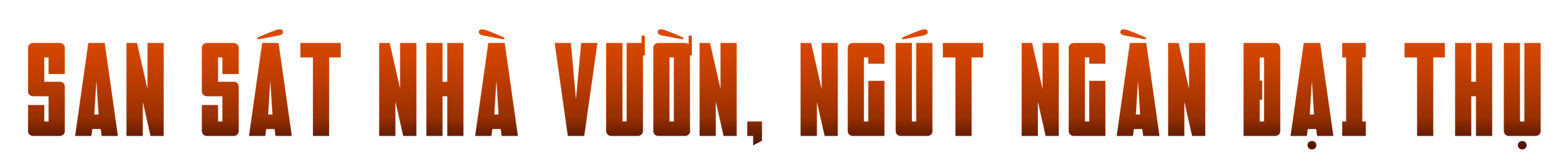 Bứng cây trăm tuổi từ rừng về nhà: Đại gia 'làm ma' đại thụ - 1