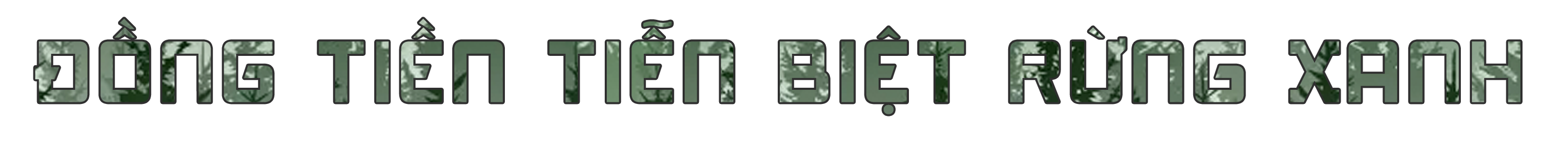 Bứng cây trăm tuổi từ rừng về làm cảnh: Đẹp nhà đại gia, xót xa rừng thẳm - 4