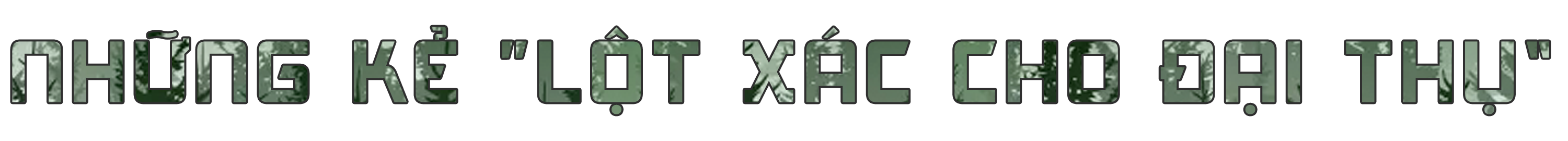 Bứng cây trăm tuổi từ rừng về làm cảnh: Đẹp nhà đại gia, xót xa rừng thẳm - 8