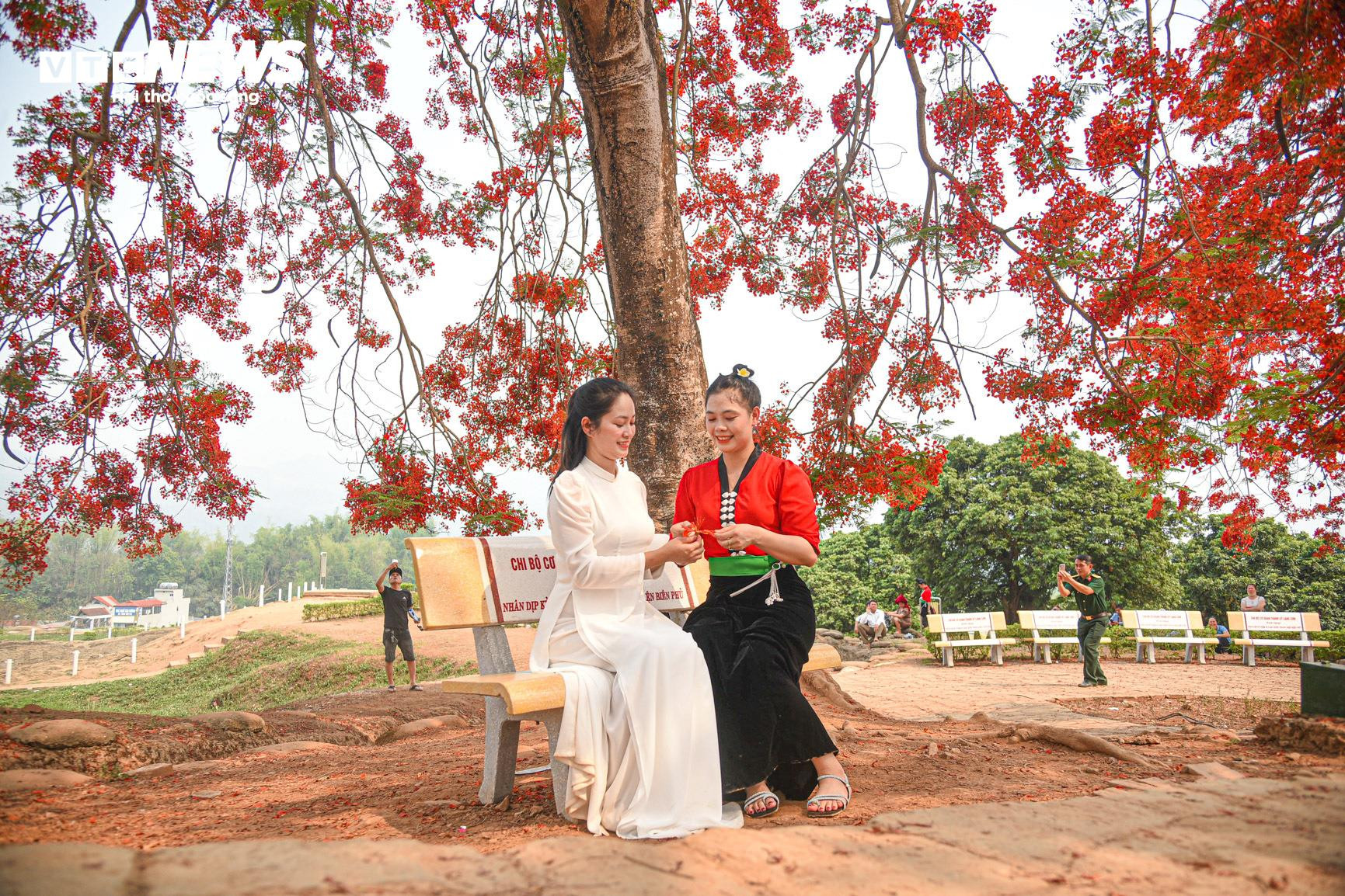 Sắc màu hoa phượng rực rỡ quanh đồi A1 ở Điện Biên - 7