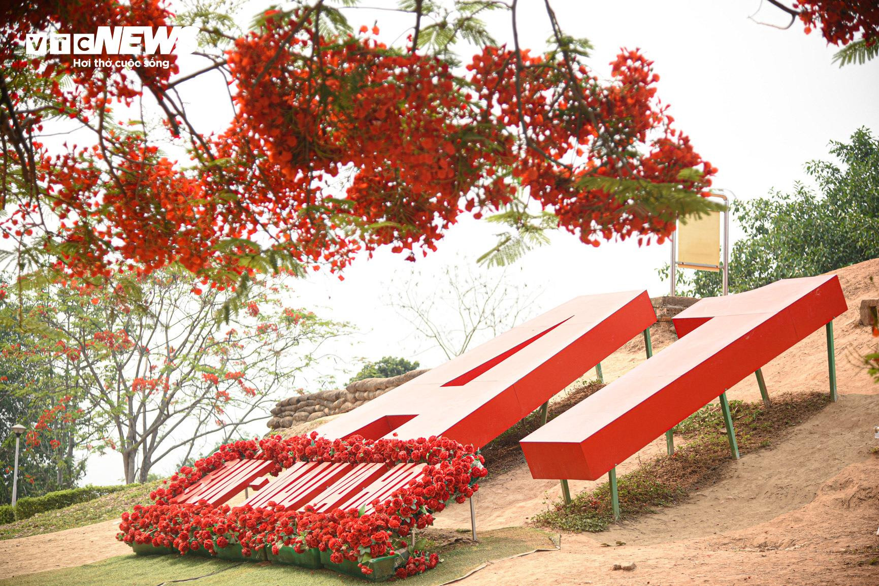 Sắc màu hoa phượng rực rỡ quanh đồi A1 ở Điện Biên - 1