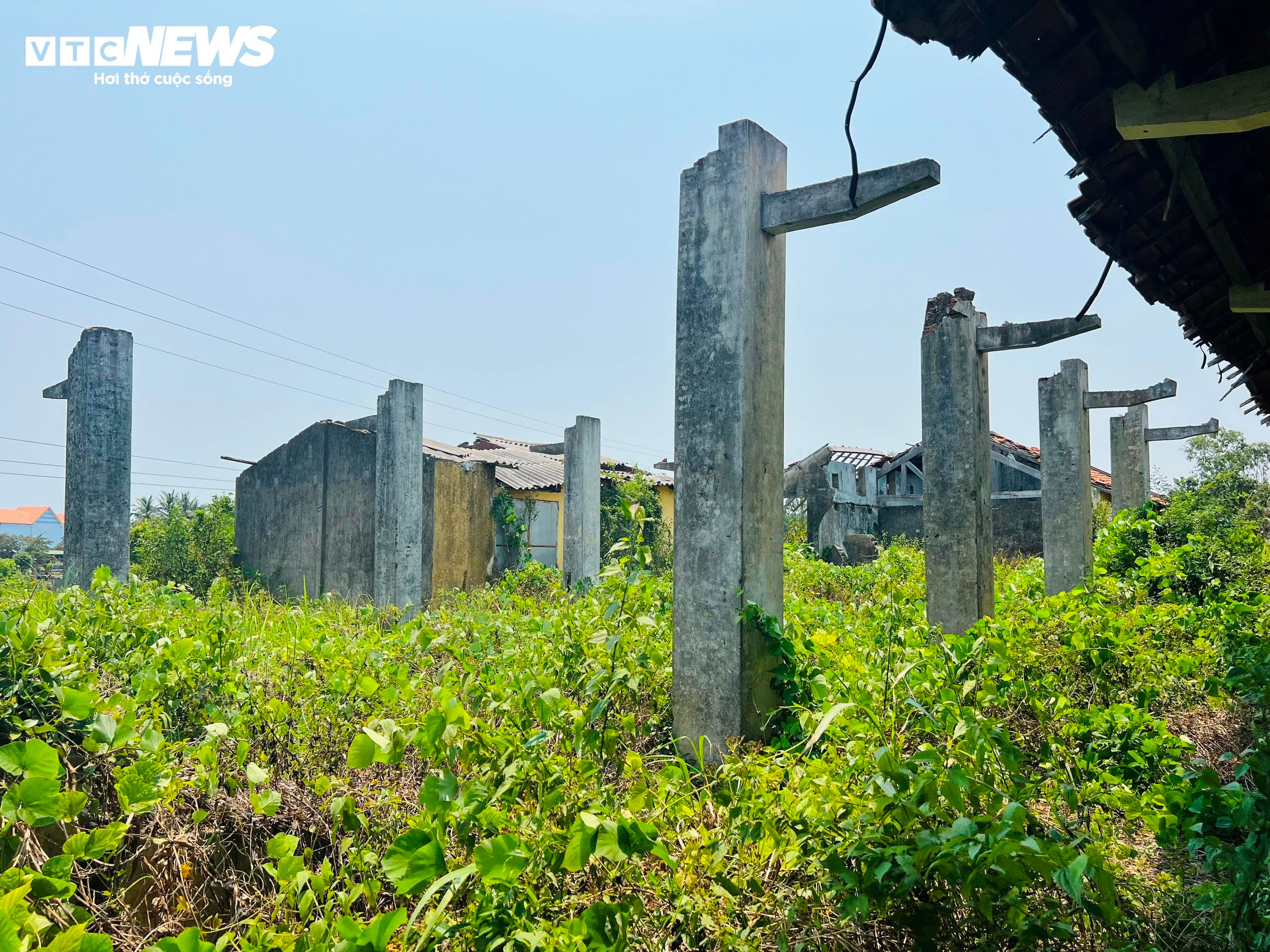 Thảm cảnh ở Cty lâm nghiệp Trà Tân: Giám đốc bị nợ lương 10 năm, trụ sở đổ nát - 8