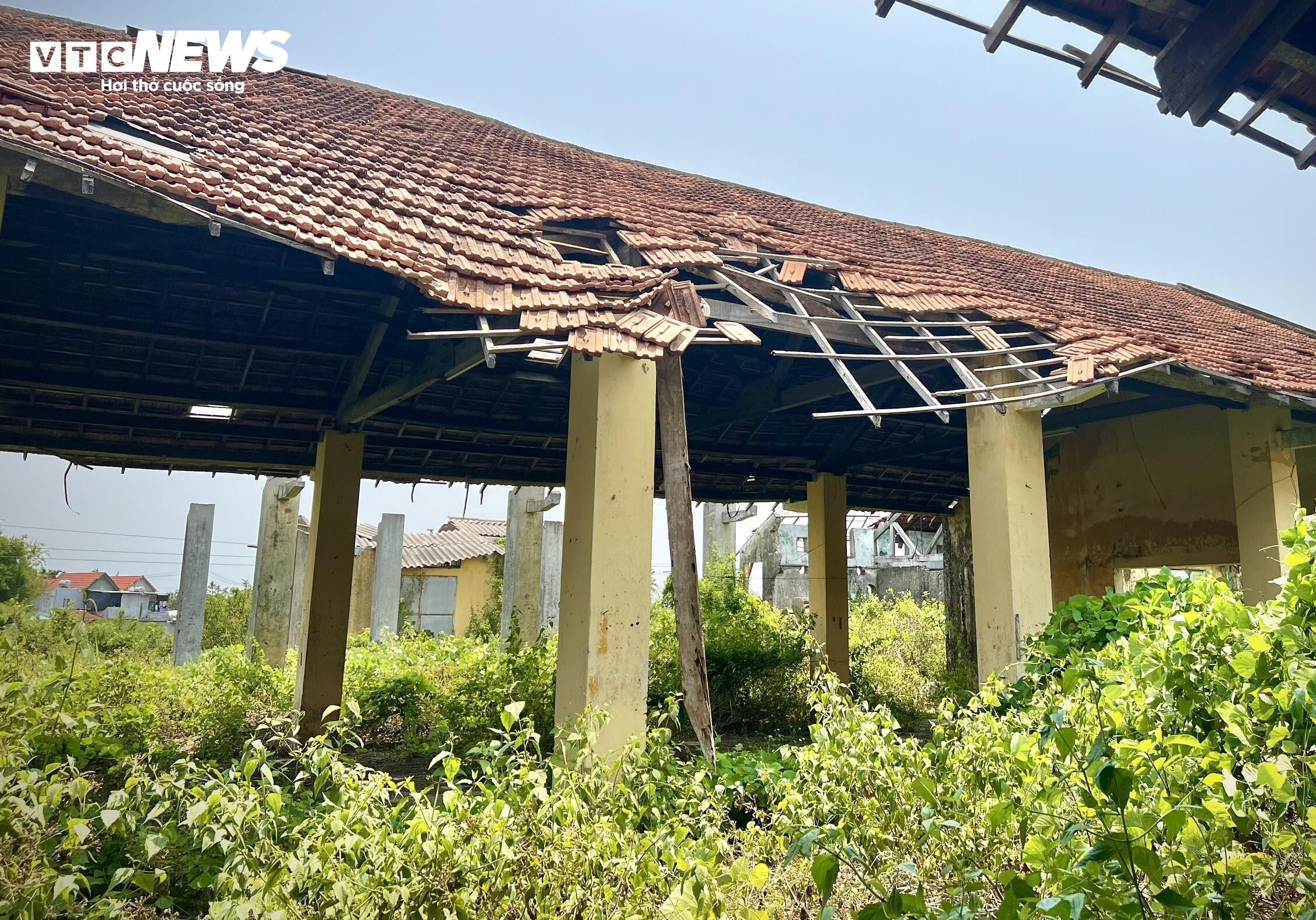 Thảm cảnh ở Cty lâm nghiệp Trà Tân: Giám đốc bị nợ lương 10 năm, trụ sở đổ nát - 6