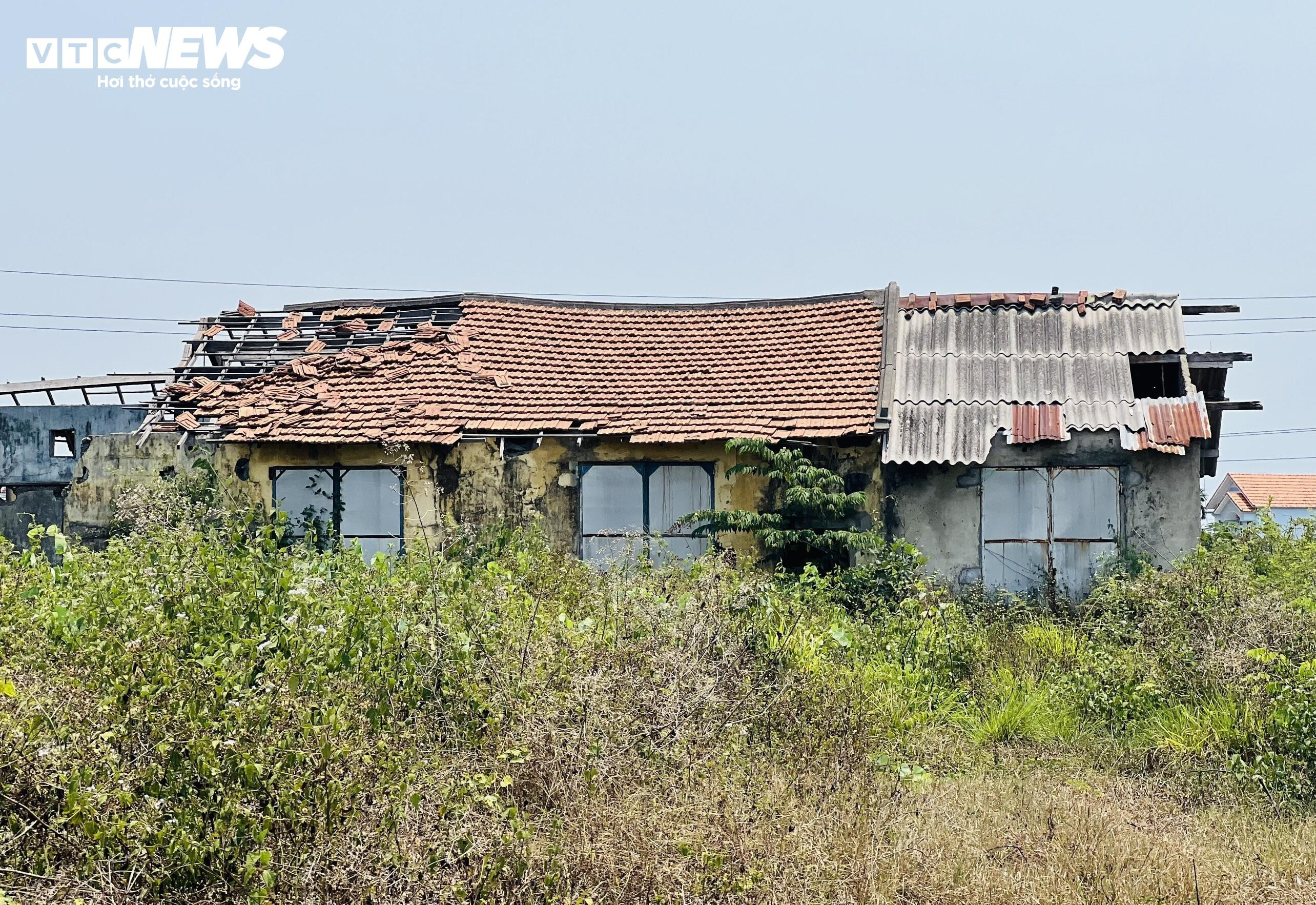 Thảm cảnh ở Cty lâm nghiệp Trà Tân: Giám đốc bị nợ lương 10 năm, trụ sở đổ nát - 4