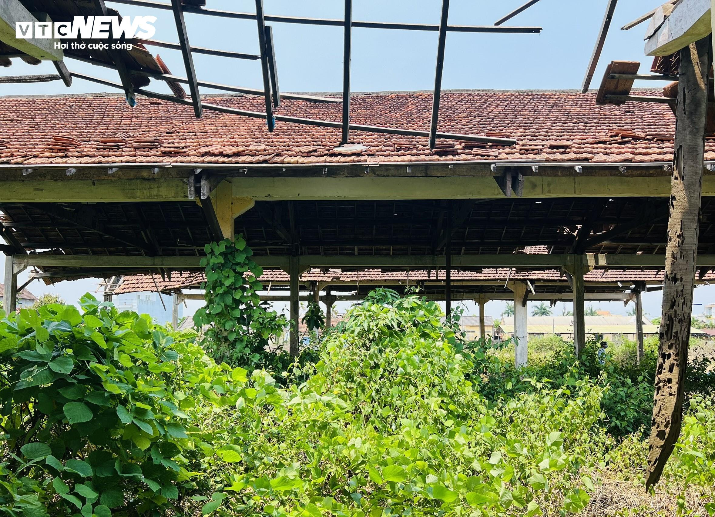 Thảm cảnh ở Cty lâm nghiệp Trà Tân: Giám đốc bị nợ lương 10 năm, trụ sở đổ nát - 5