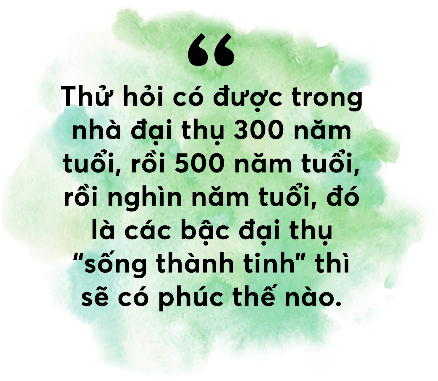 Bứng cây trăm tuổi từ rừng về nhà: Đại gia 'làm ma' đại thụ - 6