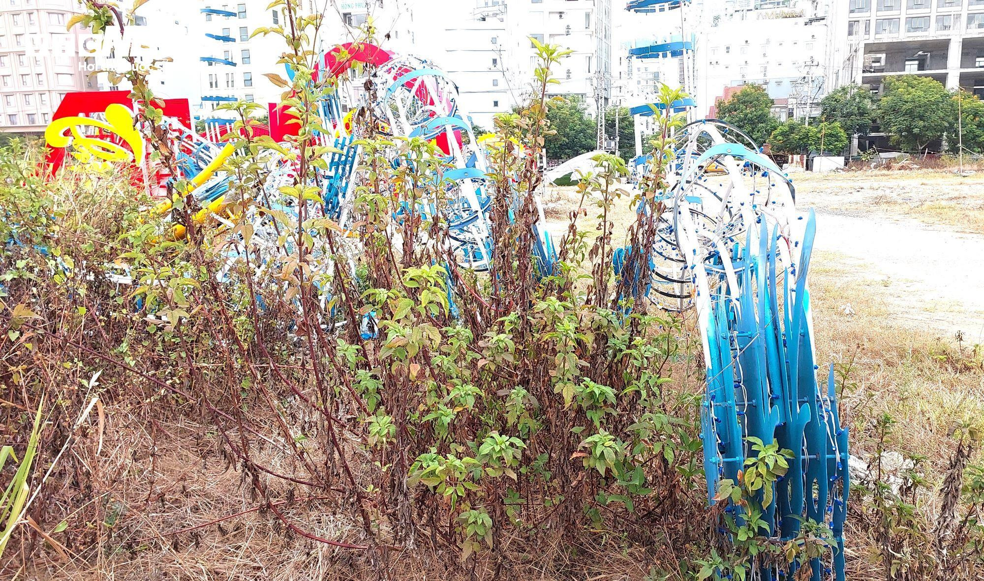 Chờ 'nhà' mới, loạt rồng linh vật Đà Nẵng nằm lăn lóc phơi nắng, mưa - 6