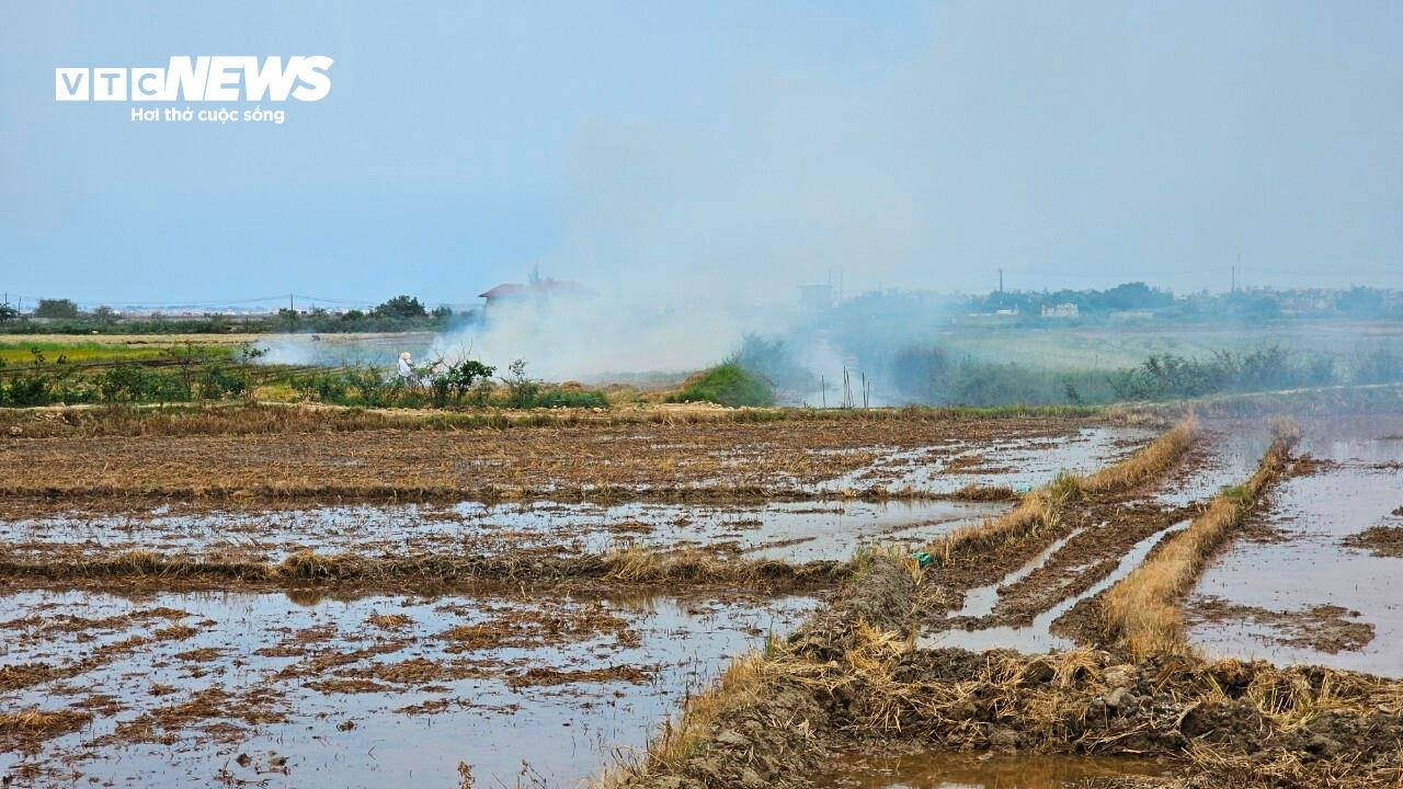 Dân đua nhau đốt rơm rạ dưới đồng, khói tấn công thành phố, quốc lộ - 1