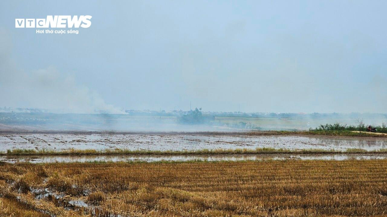 Dân đua nhau đốt rơm rạ dưới đồng, khói tấn công thành phố, quốc lộ - 5