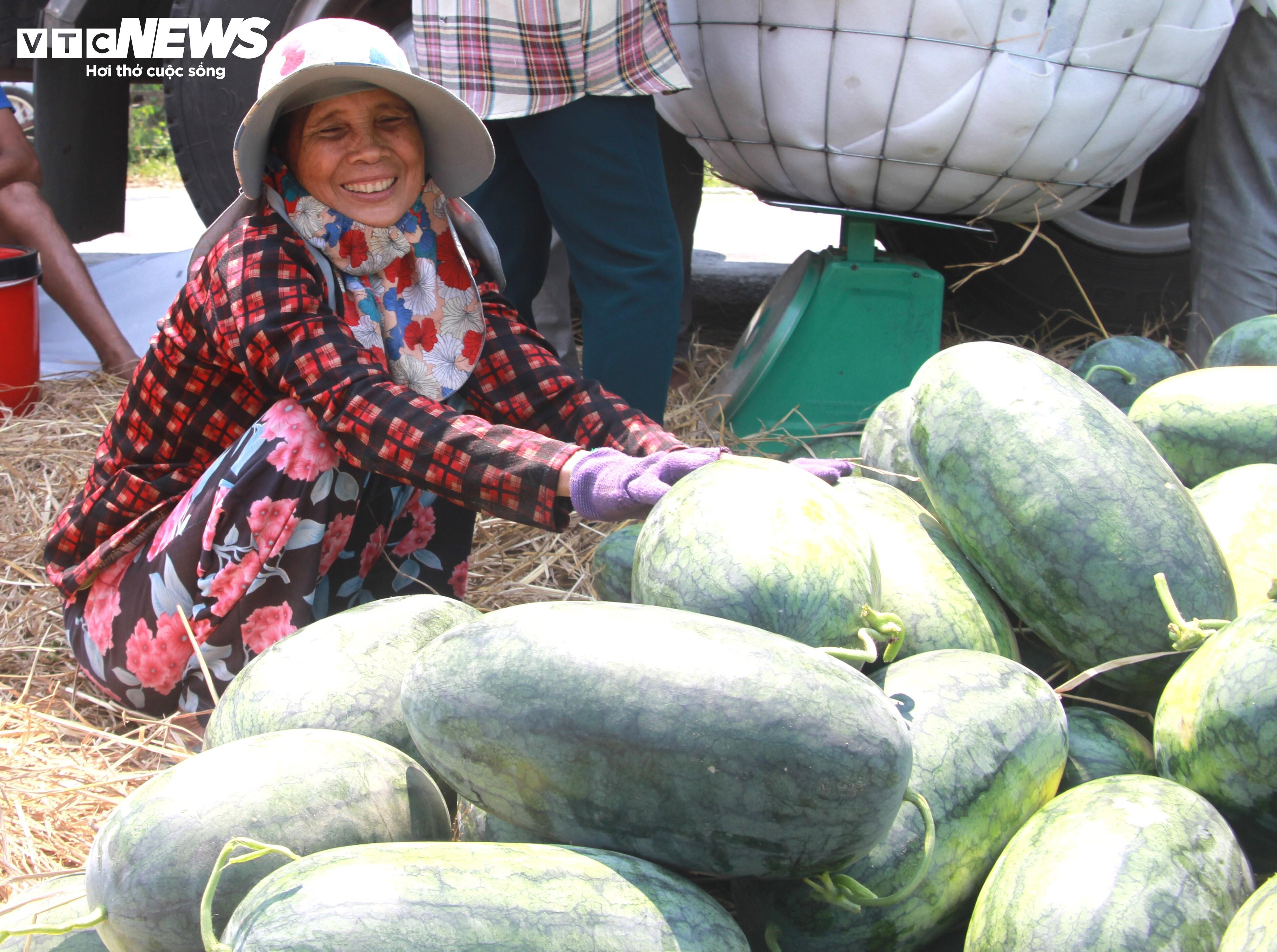 Nông dân 'thủ phủ' dưa hấu ở Quảng Nam thắng lớn nhờ được mùa, được giá - 6