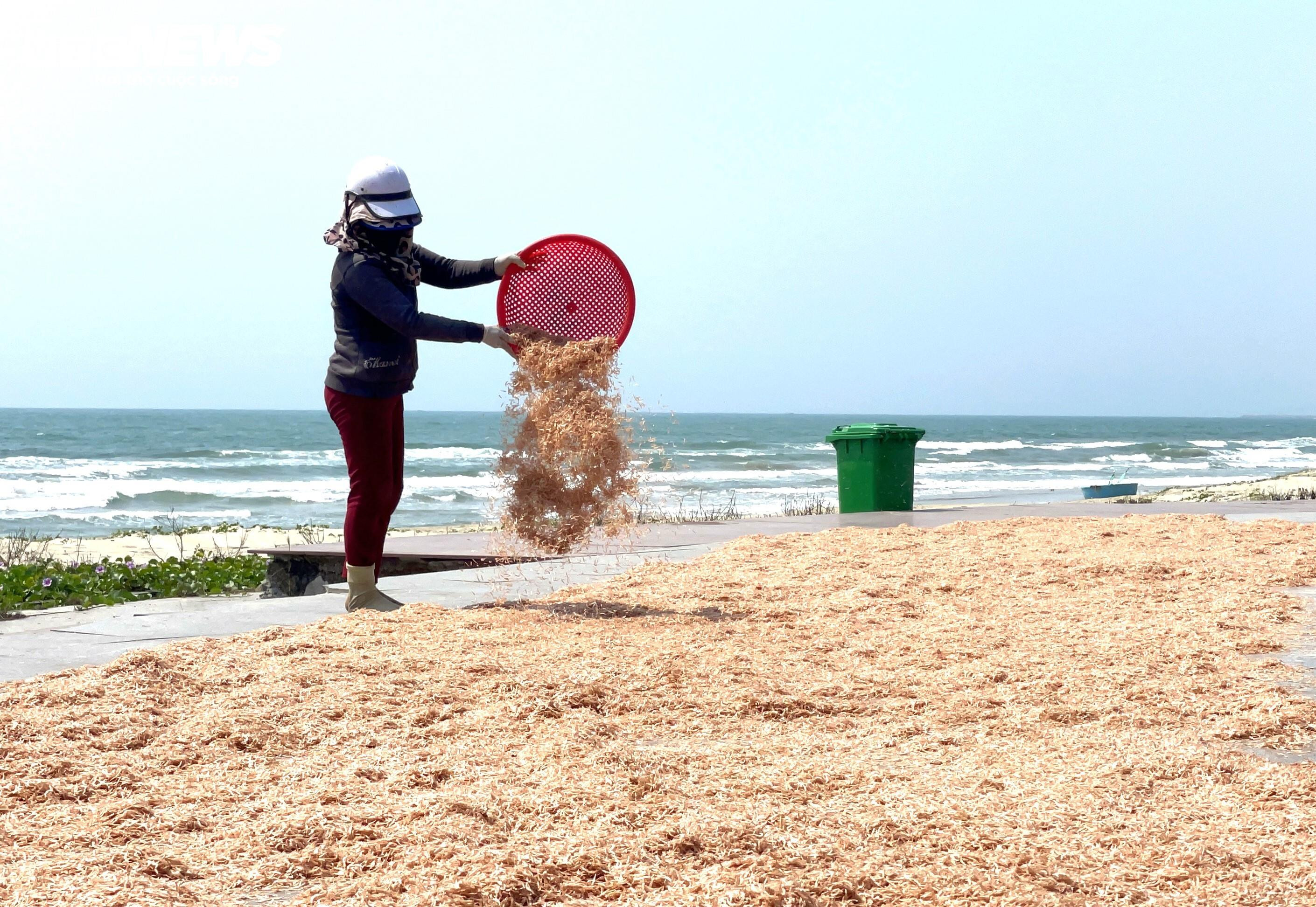 Ruốc xuất hiện dày đặc ở vùng biển gần bờ, ngư dân Quảng Ngãi trúng đậm - 7