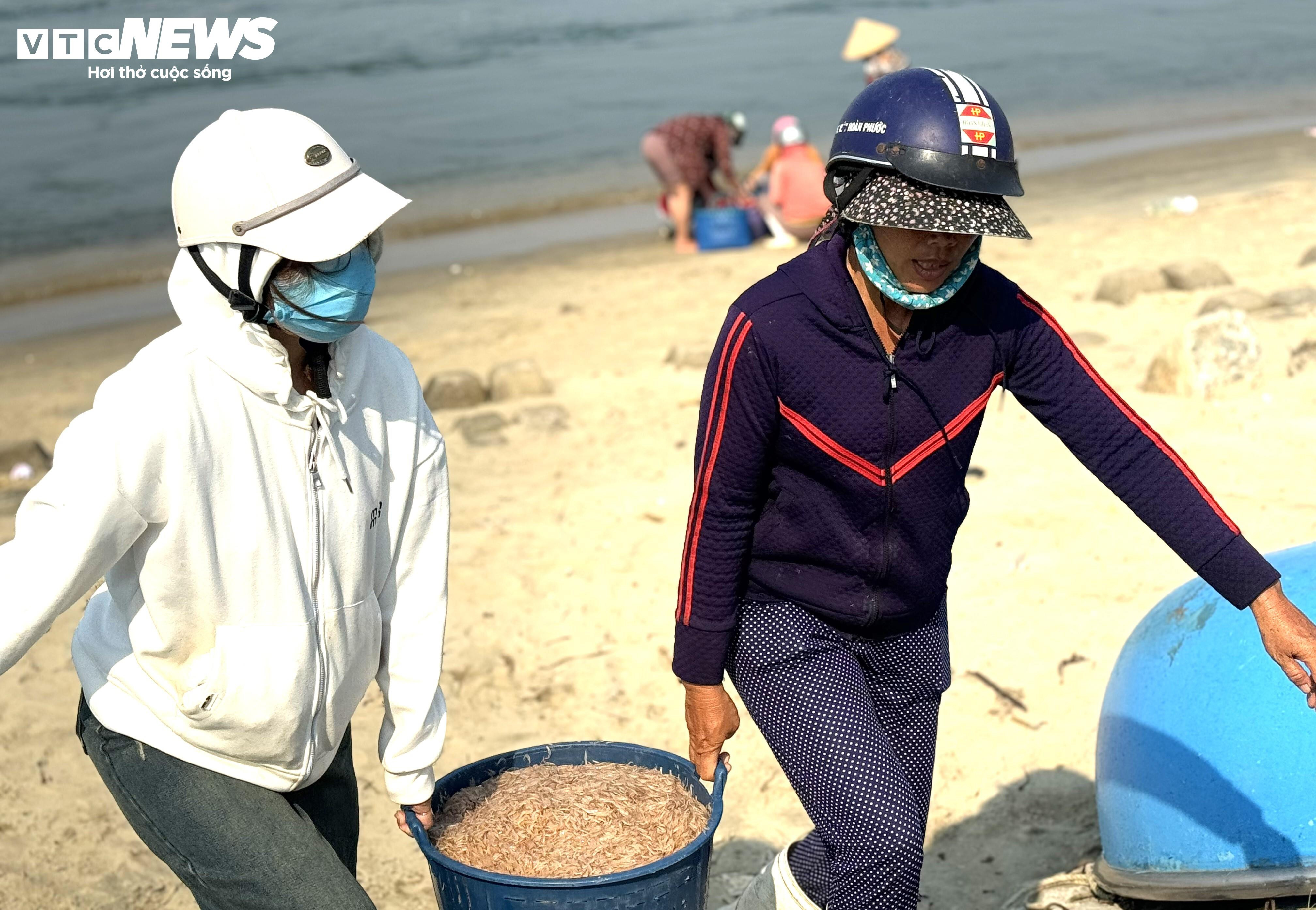 Ruốc xuất hiện dày đặc ở vùng biển gần bờ, ngư dân Quảng Ngãi trúng đậm - 4