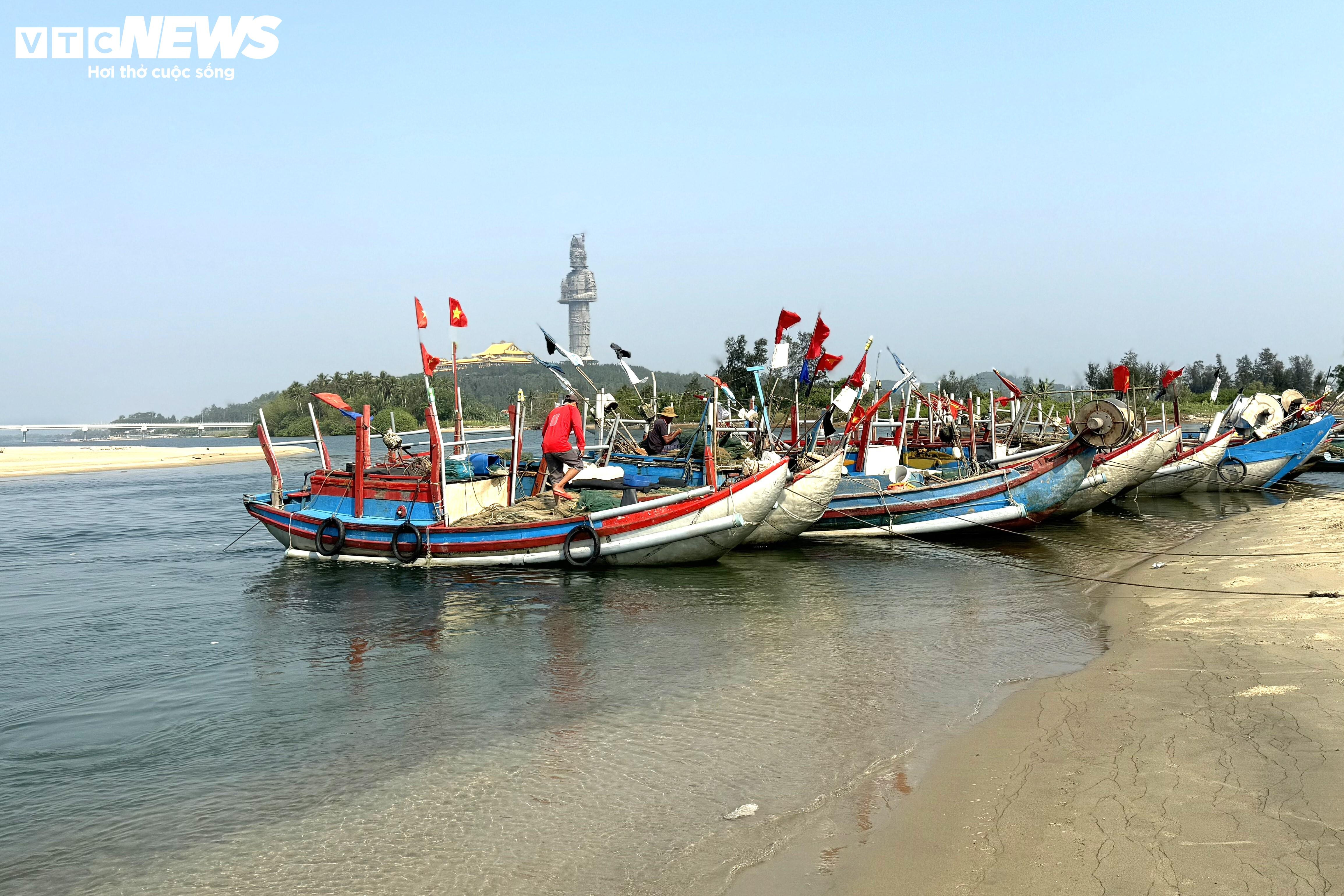 Ruốc xuất hiện dày đặc ở vùng biển gần bờ, ngư dân Quảng Ngãi trúng đậm - 6