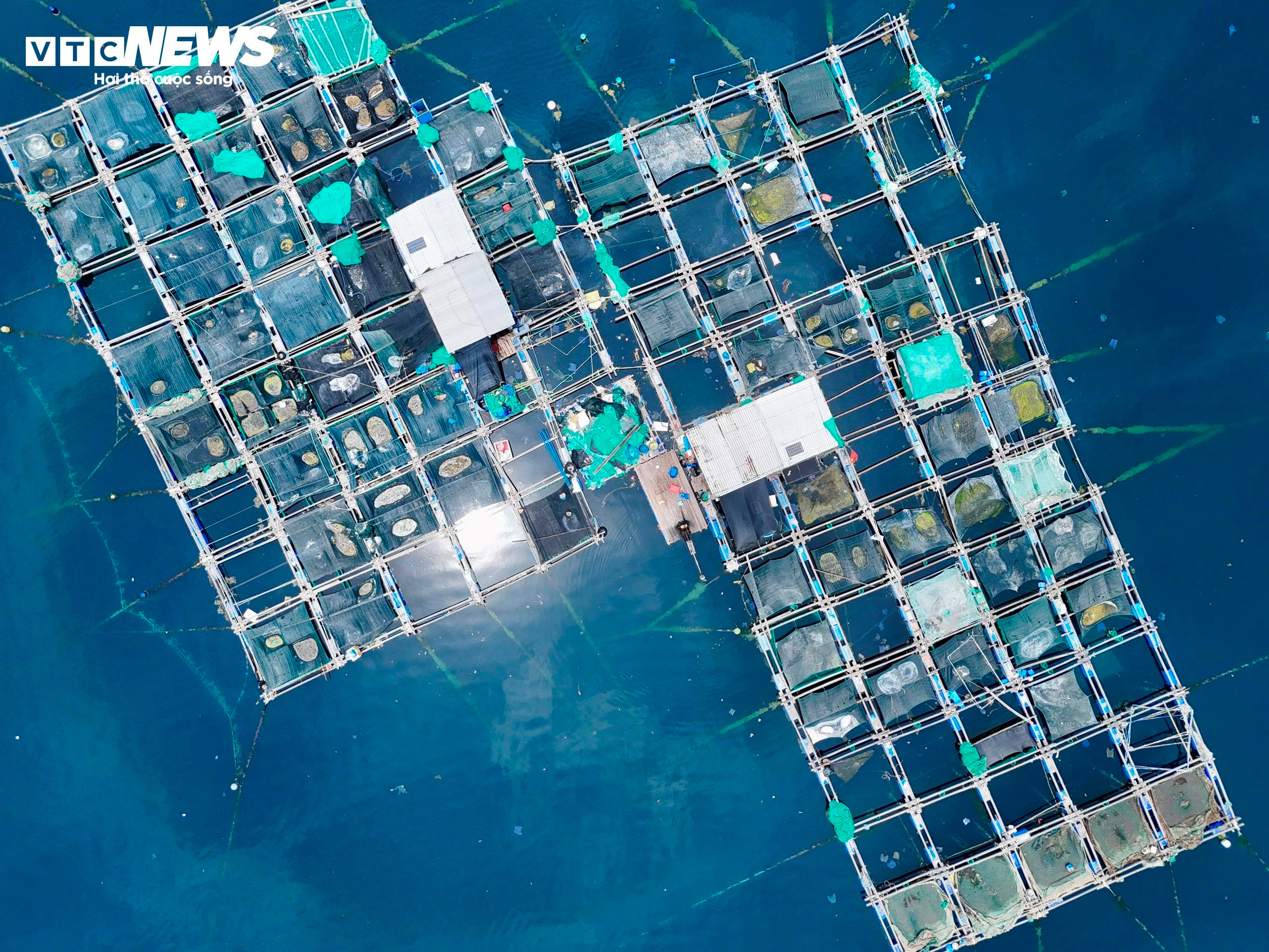 Vịnh Vũng Rô được dọn sạch rác sau phản ánh của báo chí - 8