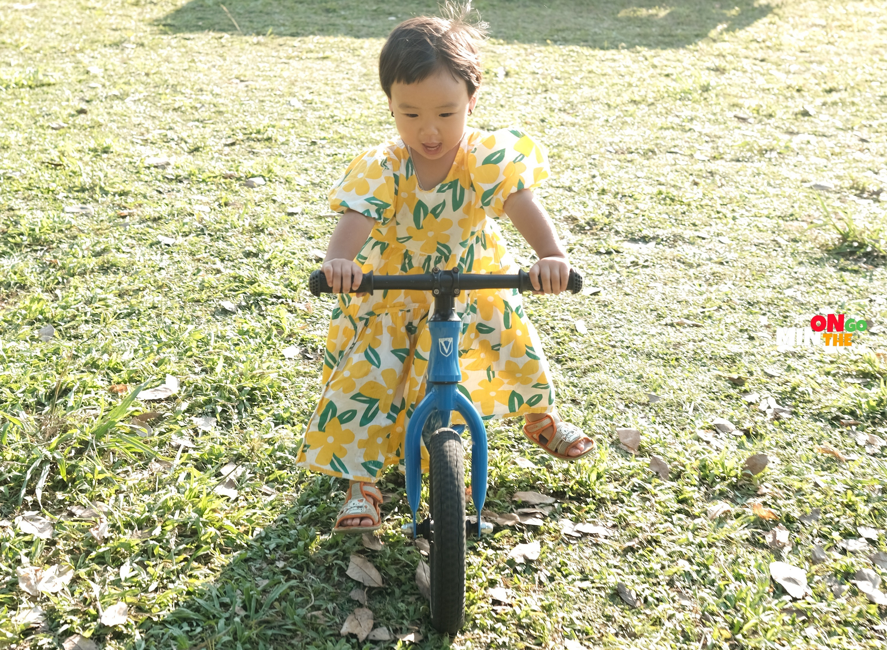 Hành trình phượt 600 ngày từ lúc 3 tháng tuổi của bé Gạo - 11