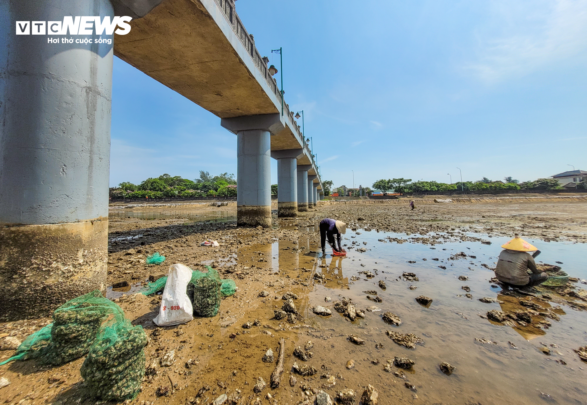 Nghề đẽo đá 'ra tiền' của những người phụ nữ vùng biển - 4