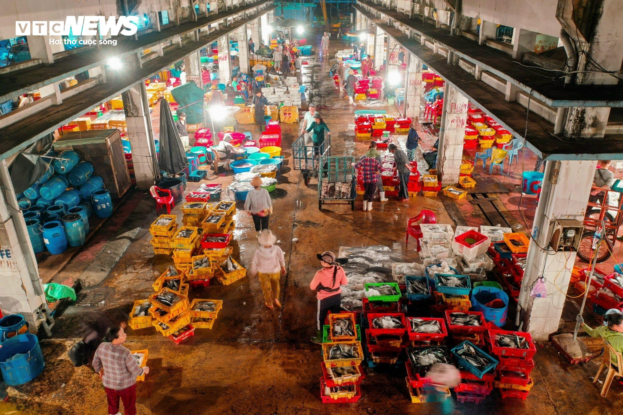 Ngắm vẻ nhộn nhịp 'trên bến dưới thuyền' tại cảng cá Quy Nhơn trước khi di dời - 2