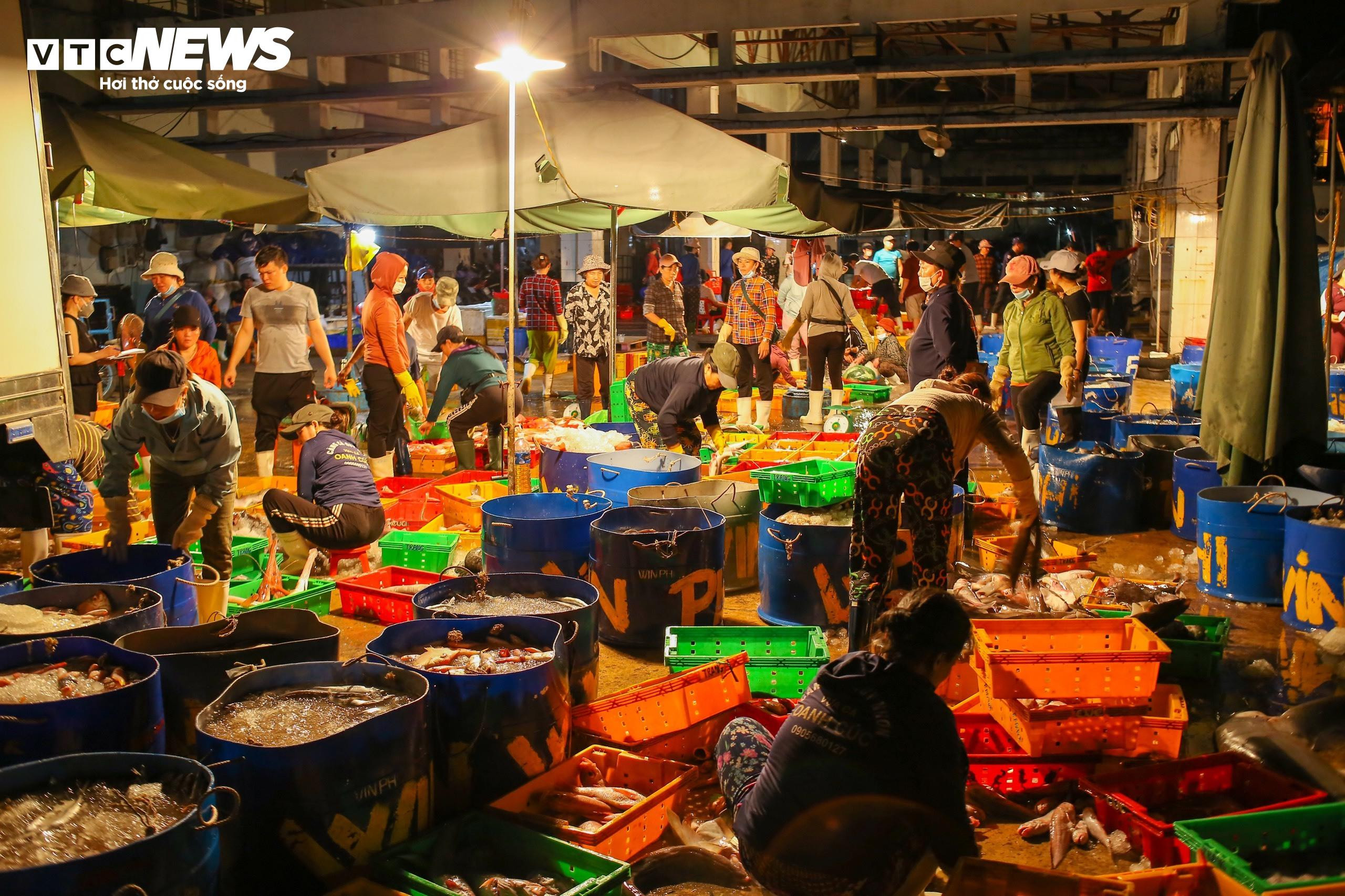Ngắm vẻ nhộn nhịp 'trên bến dưới thuyền' tại cảng cá Quy Nhơn trước khi di dời - 9